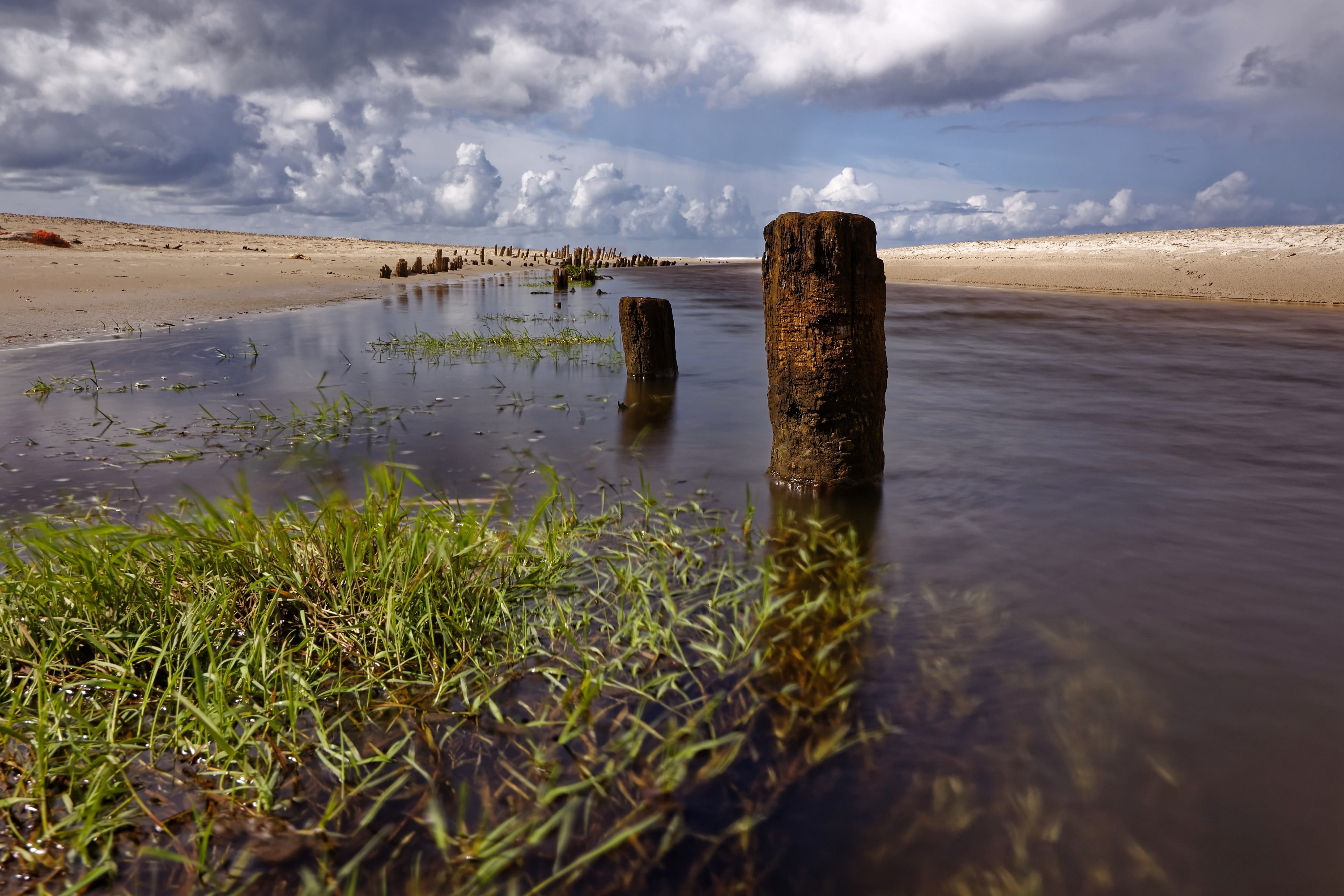 sea, 4K, wooden post, tranquility, landscape, fluent, groynes, no people, water, cloud - sky, color, mood, northsea, lighting, denmark, plant, sky, wood - material, HD Wallpaper