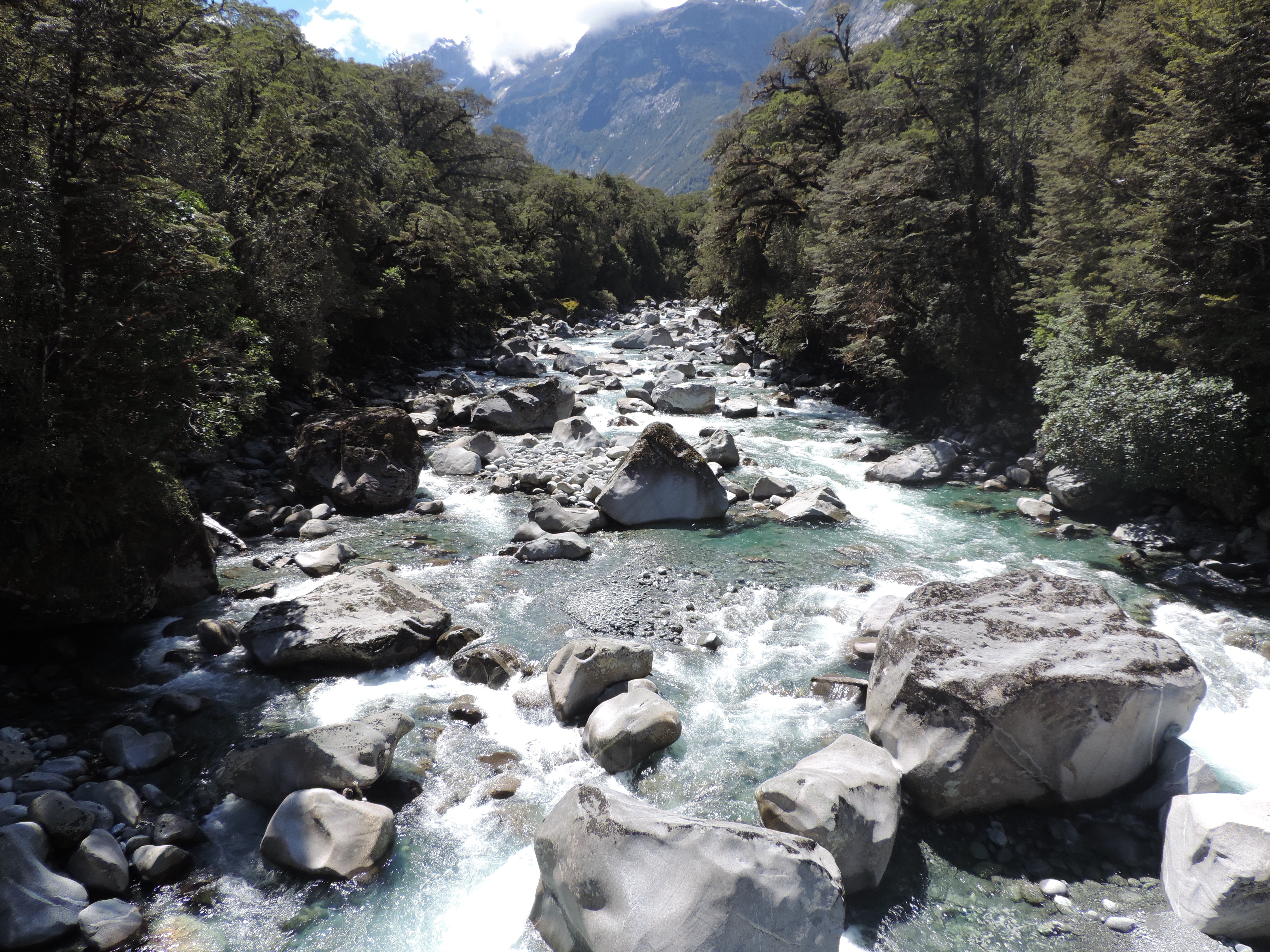 water, plant, tree, river, flowing water, new zealand, day, non-urban scene, scenics - nature, no people, solid, outdoors, flowing, power in nature, mountain, HD Wallpaper
