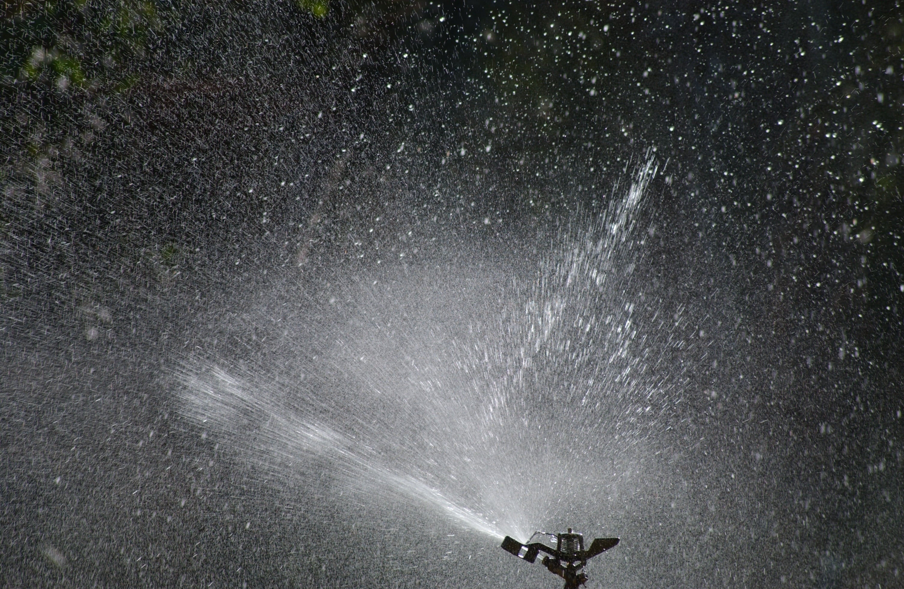 outdoors, watering can, star - space, spraying, water, night, automatic sprinkler, unrecognizable person, long exposure, spalsher, motion, 2K, men, grass, HD Wallpaper