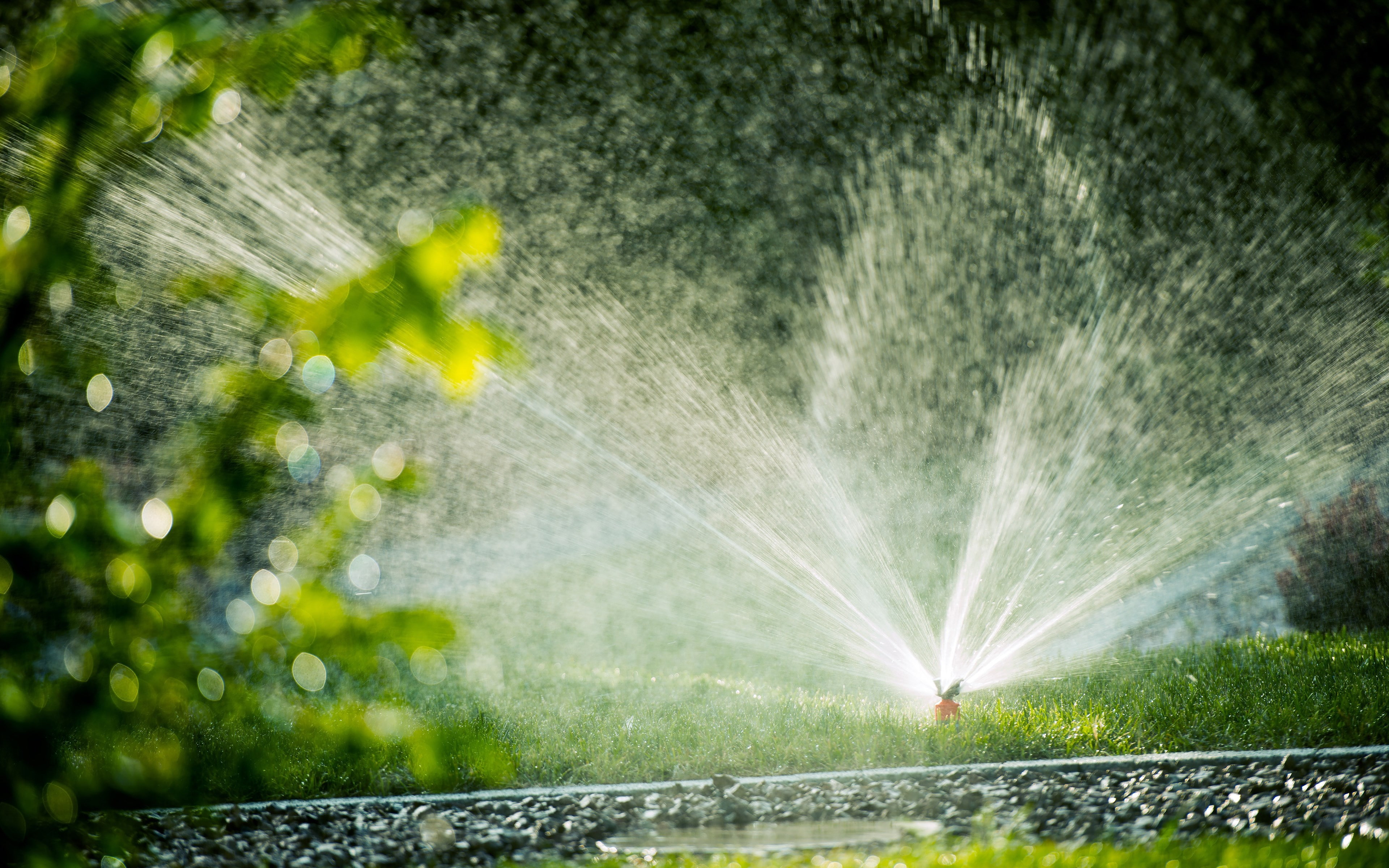 motion, outdoors, refreshment, garden hose, ornamental garden, wet, sprinkler, growth, tree, 4K, beauty in nature, garden, splashing, plant, spraying, HD Wallpaper
