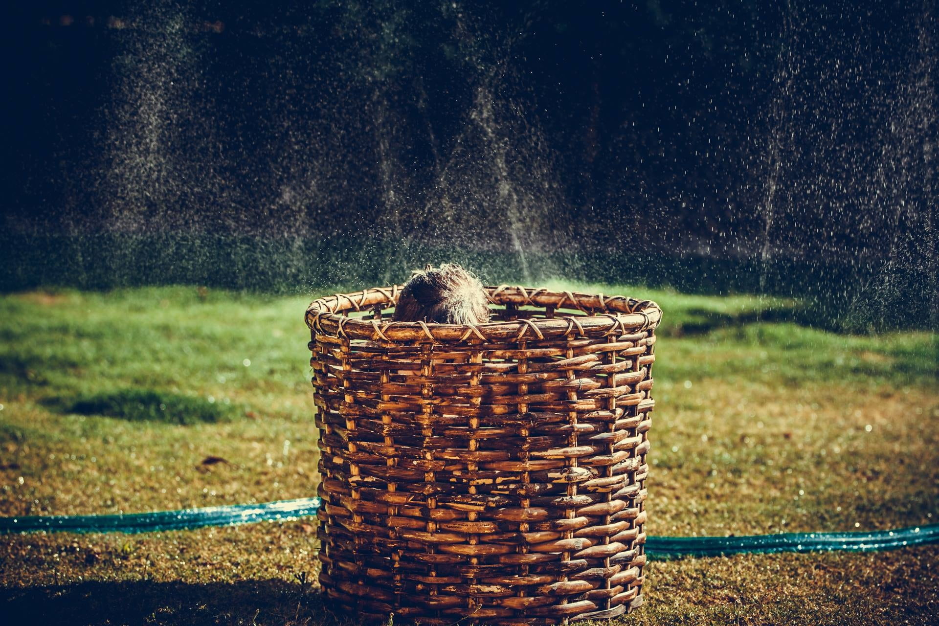 grass, mammal, summer, vertebrate, child, focus on foreground, basket, domestic, wicker, sprinkler, girl, water, sister, garypore, toddler, home, container, HD Wallpaper
