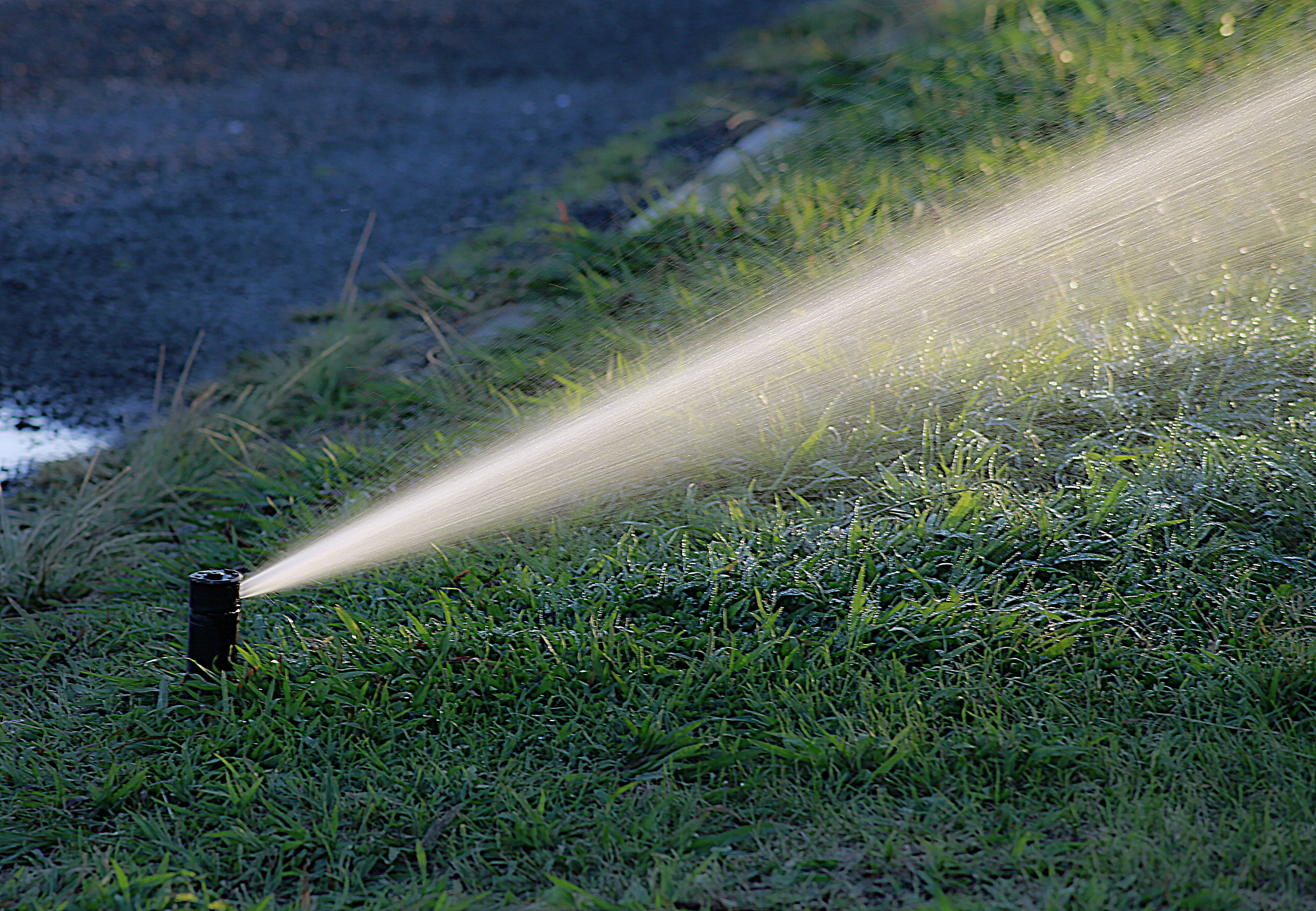 nature, hose, sunlight, sprinkler, field, outdoors, water, high angle view, garden, 4K, motion, green color, growth, day, beauty in nature, plant, watering, HD Wallpaper