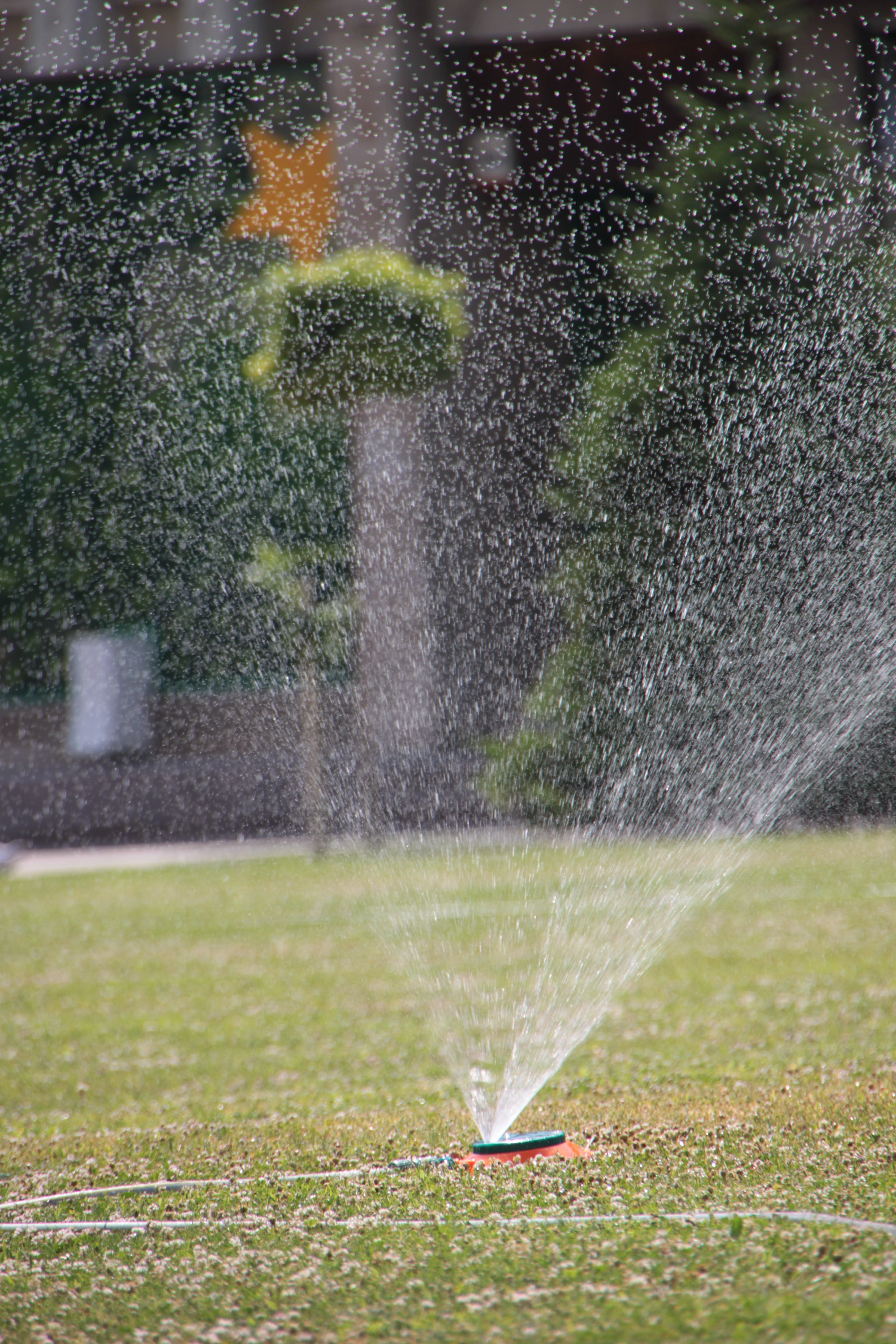 long exposure, summer, stream, outdoors, watering, swirling, irrigation equipment, nature, splashing, green color, architecture, garden hose, lawn, heat, Phone HD Wallpaper