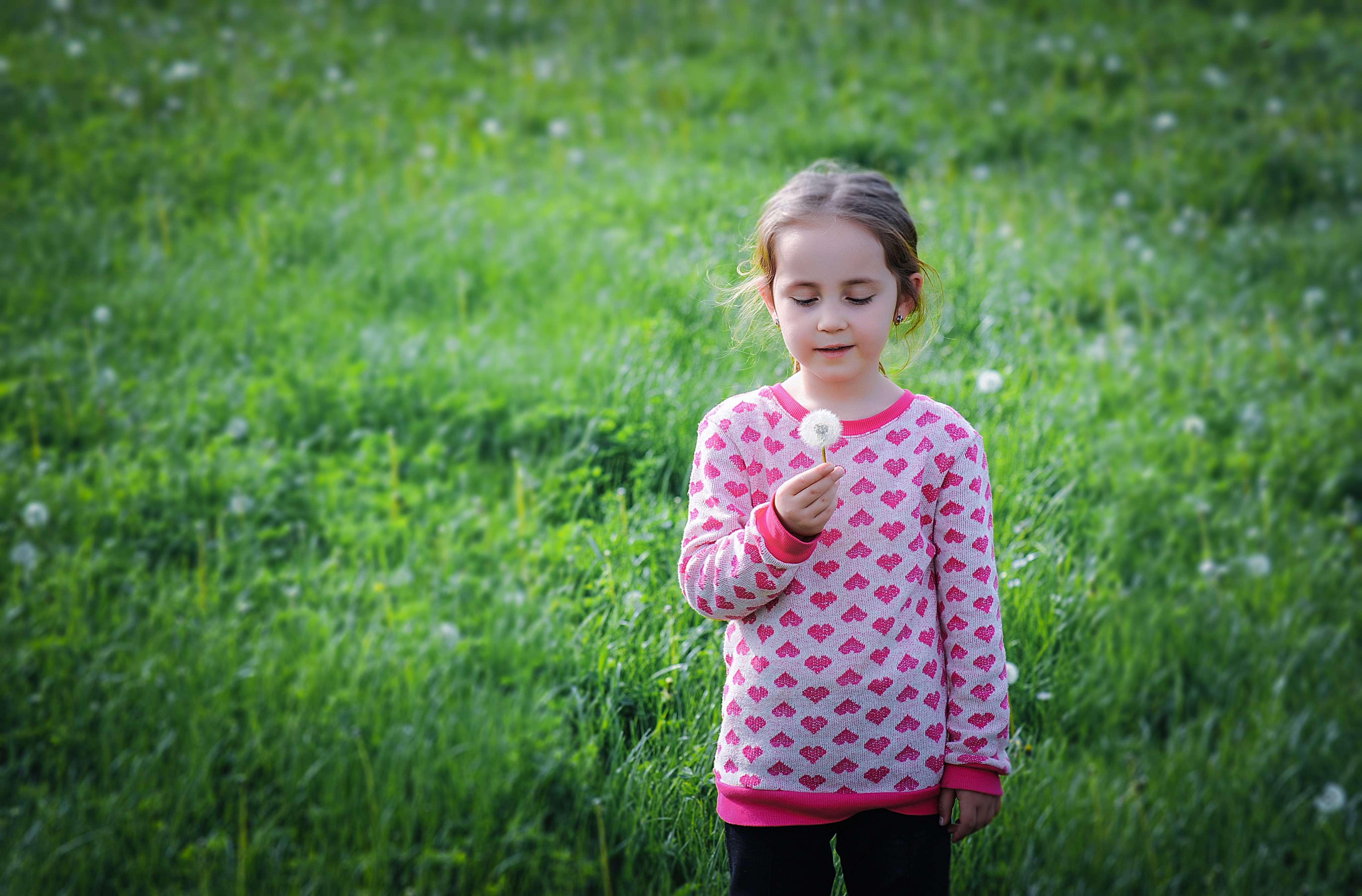 face, smile, cute, style, front view, standing, small, person, plant, playing, child, portrait, day, caucasian Ethnicity, sweet, daytime, kids, one person, HD Wallpaper