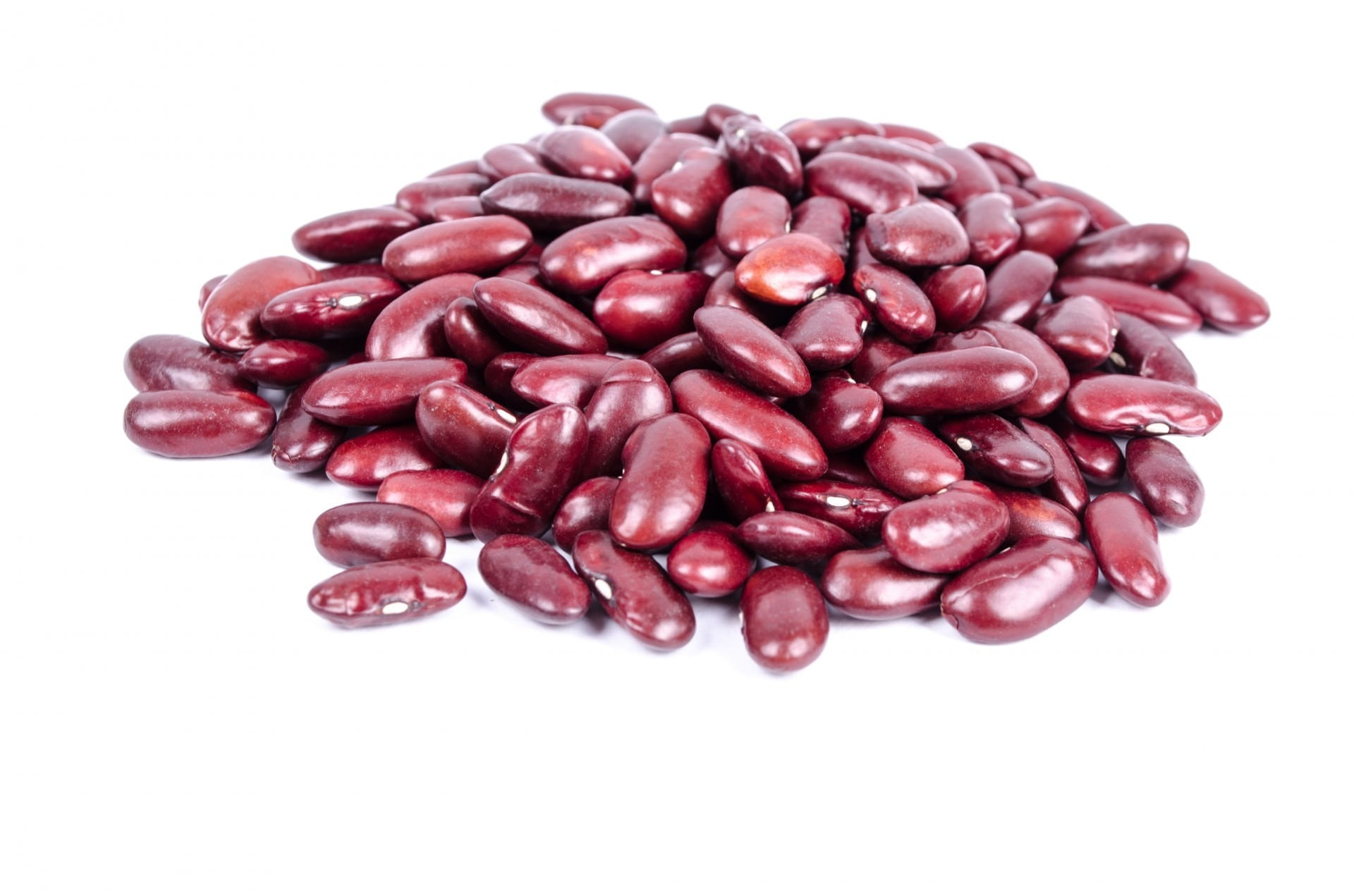 large group of objects, beans, seeds, nobody, raw food, bunch, brown, copy space, wellbeing, single object, white color, food, uncooked, white, close-up, HD Wallpaper
