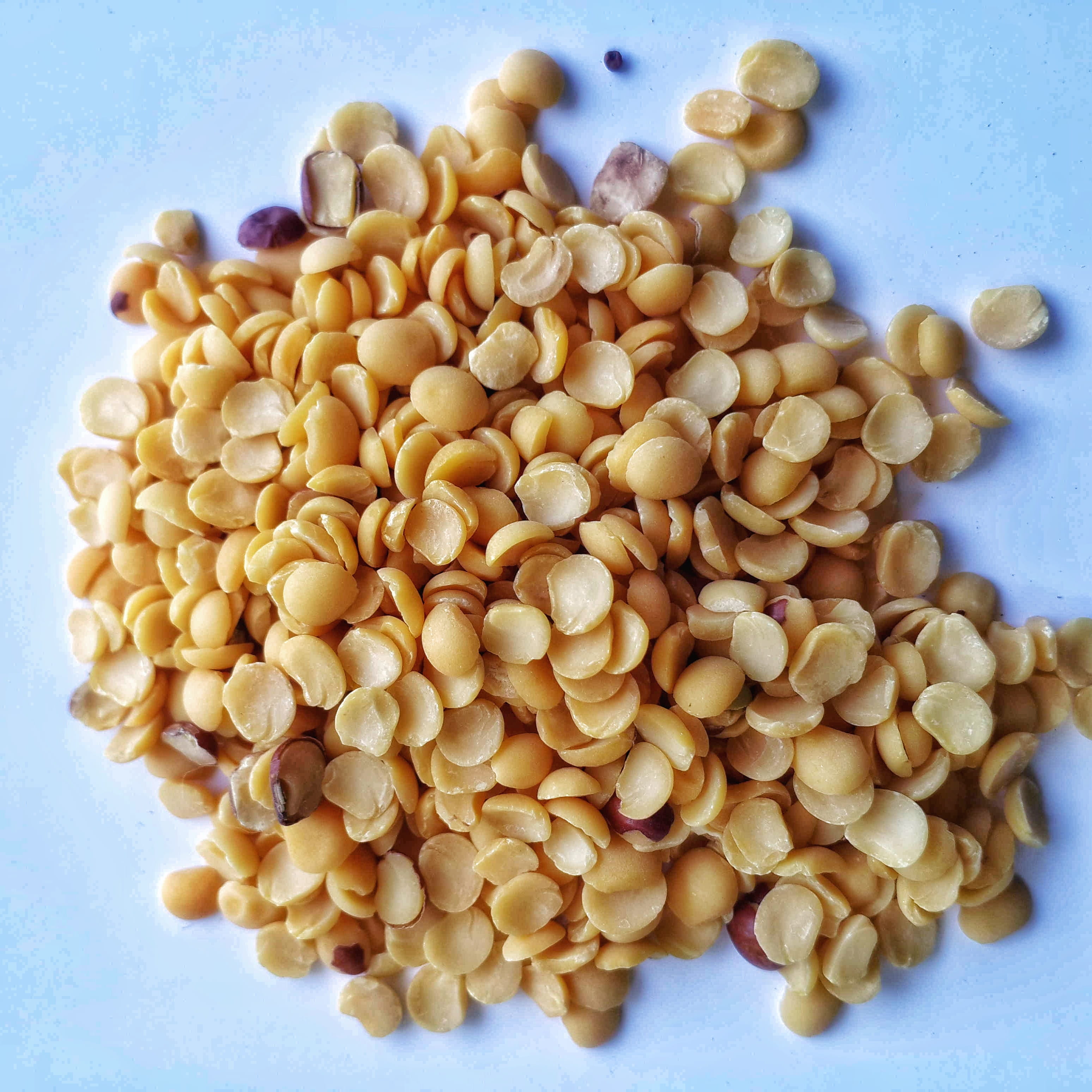 gunga bean, blue background, vegetarian food, legume family, from above, pigeon, high angle view, peogeon pea, still life, perennial legume, indoors, food and drink, Phone HD Wallpaper