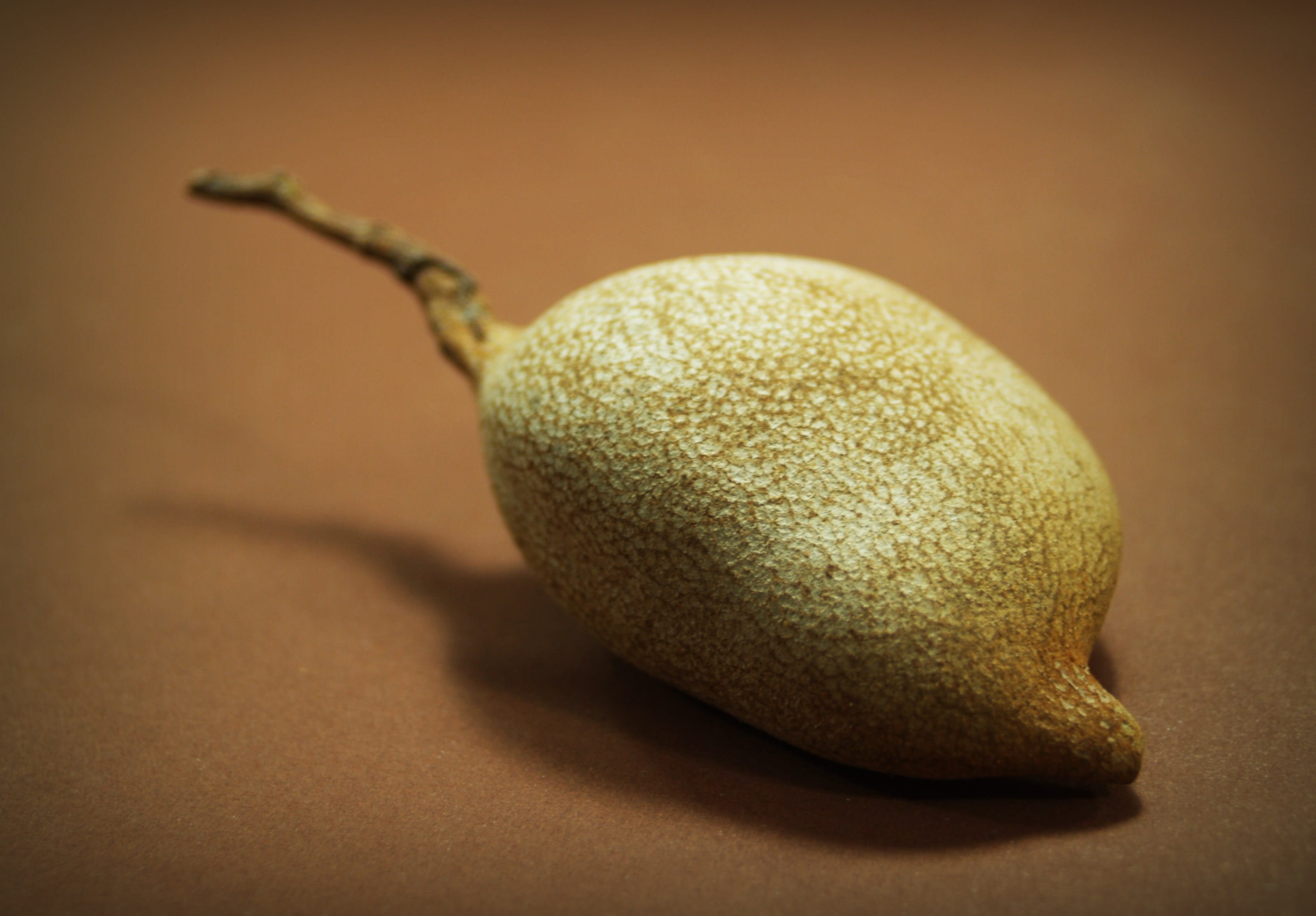 seasoning, exotic, eating, open, full length, nature, food, pulse, freshness, focus on foreground, vegetable, single object, brown background, pear, colored background, HD Wallpaper