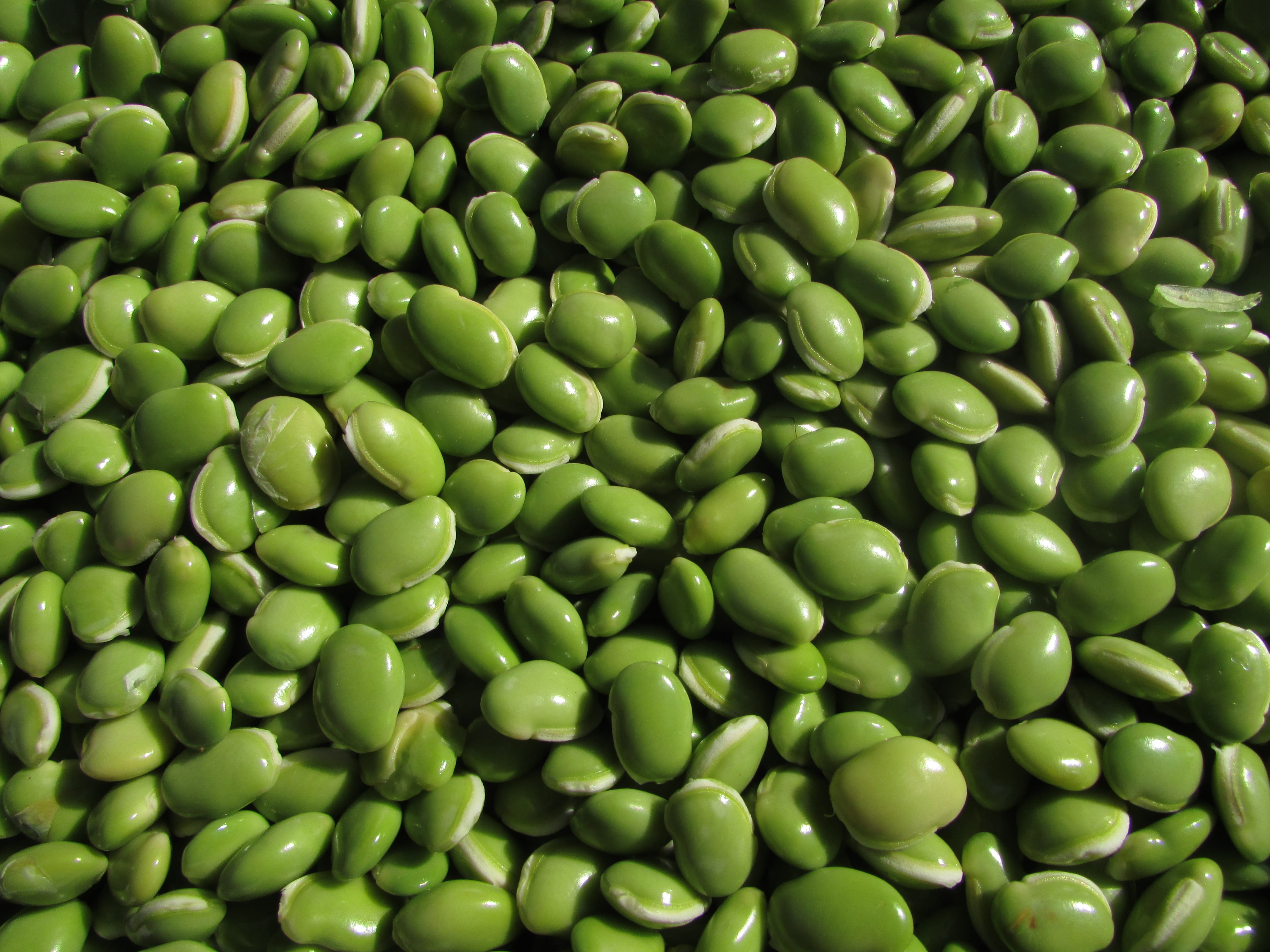 green Color, food And Drink, Leguminous Plants, 4K, freshness, white color, bean, green Pea, healthy Eating, india, full frame, backgrounds, raw Food, HD Wallpaper