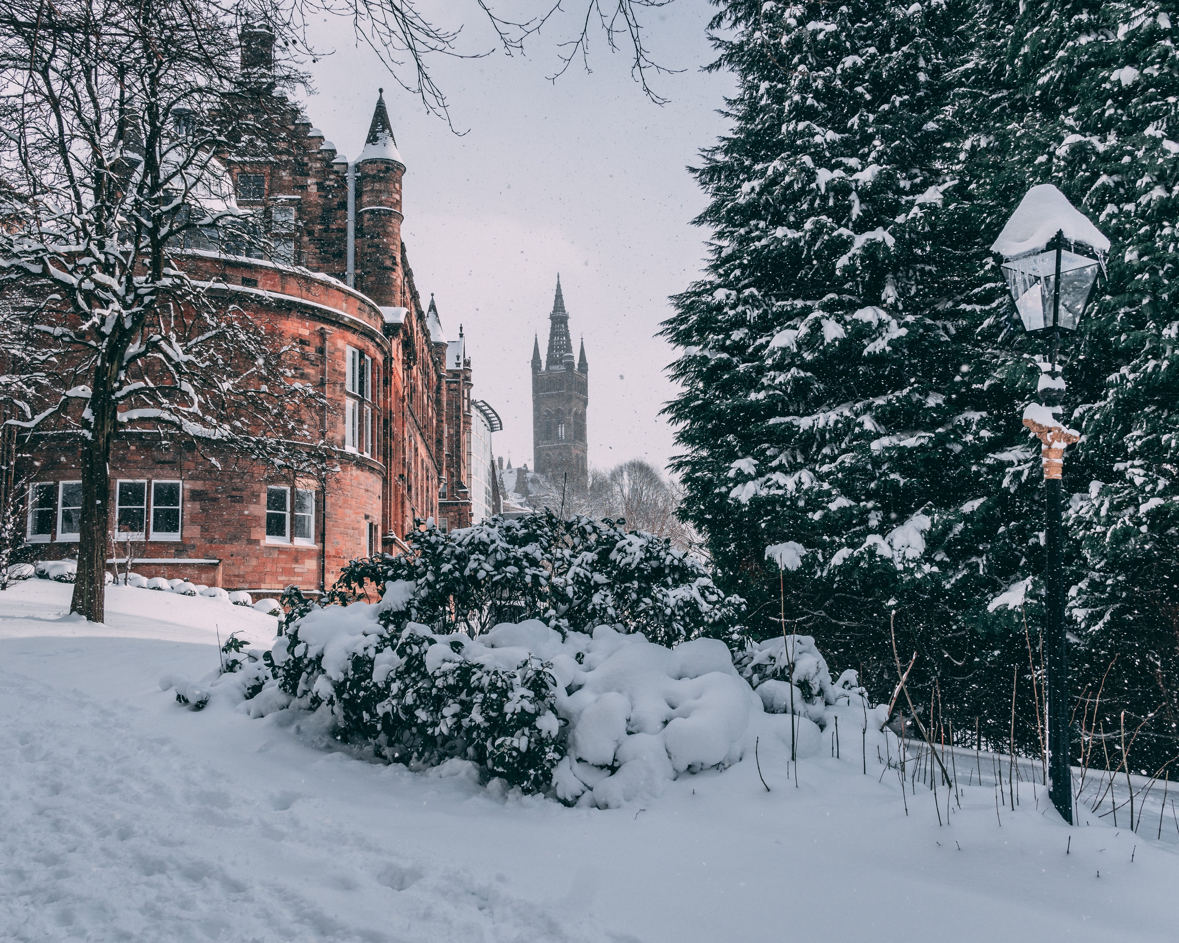 nature, plant, building exterior, cold, snow, winter, religion, university of glasgow, tree, place of worship, built structure, university, building, frozen, HD Wallpaper