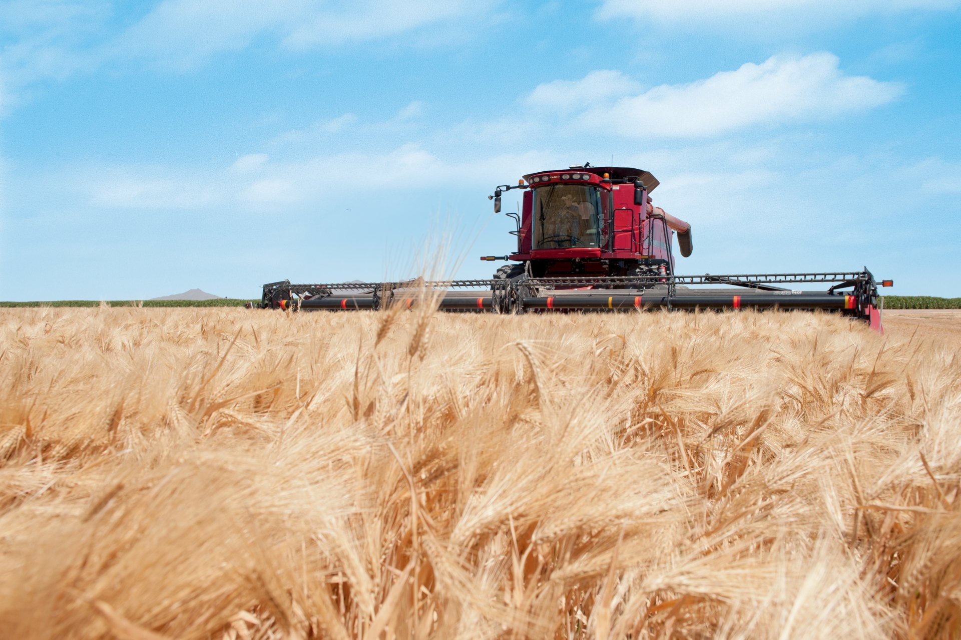 1080P, Vehicles, Case Ih Axial-Flow Harvester, HD Wallpaper
