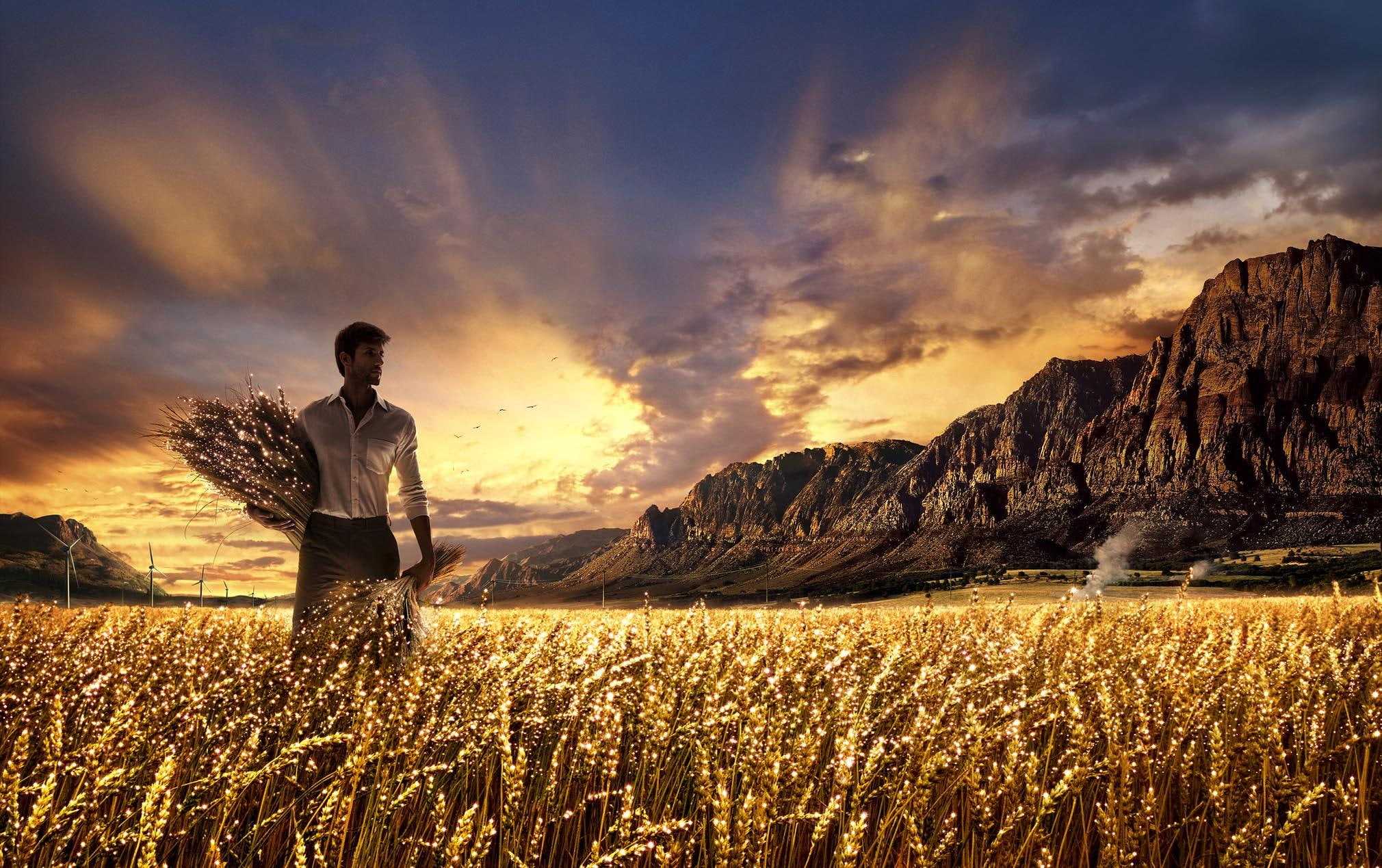 beautiful, harvest, sparkling, grain field, golden, 1080P, 3d and abstract, mountains, skies, HD Wallpaper