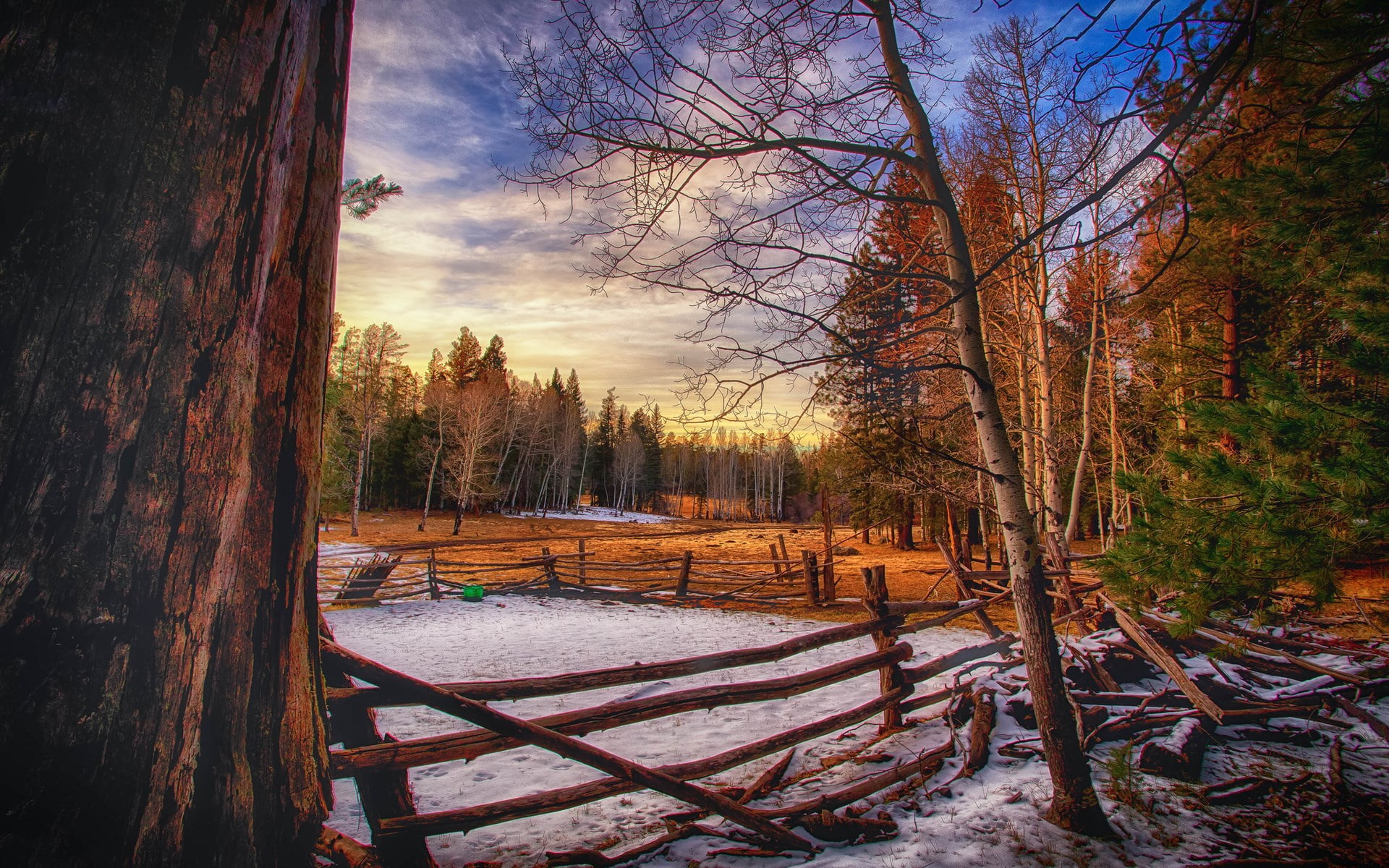 land, sunset, snow, scenics - nature, 1080P, winter, tranquility, cold temperature, nature, sky, trunk, no people, computer desktop  full screen nature pics 1920x1200, HD Wallpaper