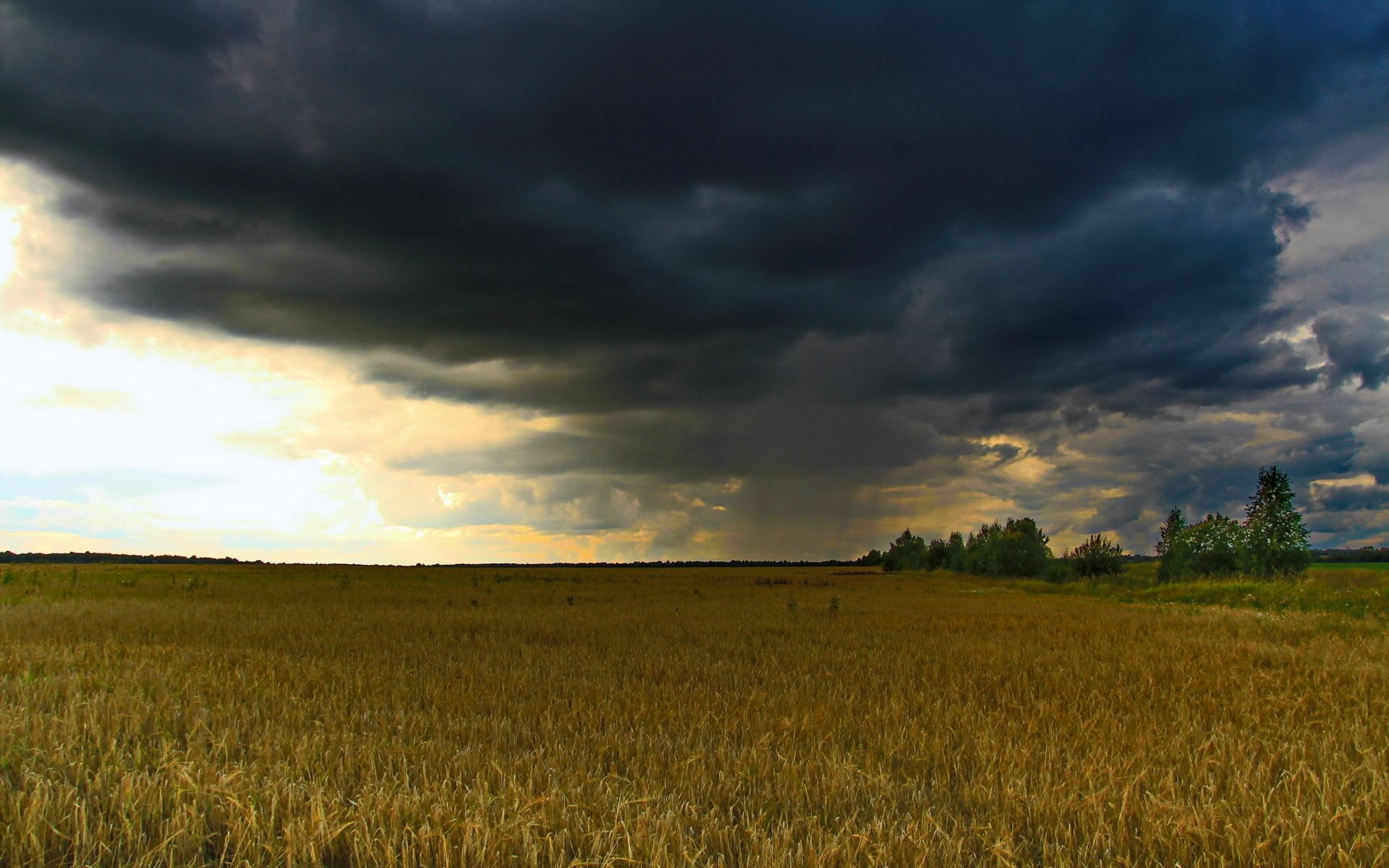 computer desktop  full screen nature pics 1920x1200, 1080P, HD Wallpaper