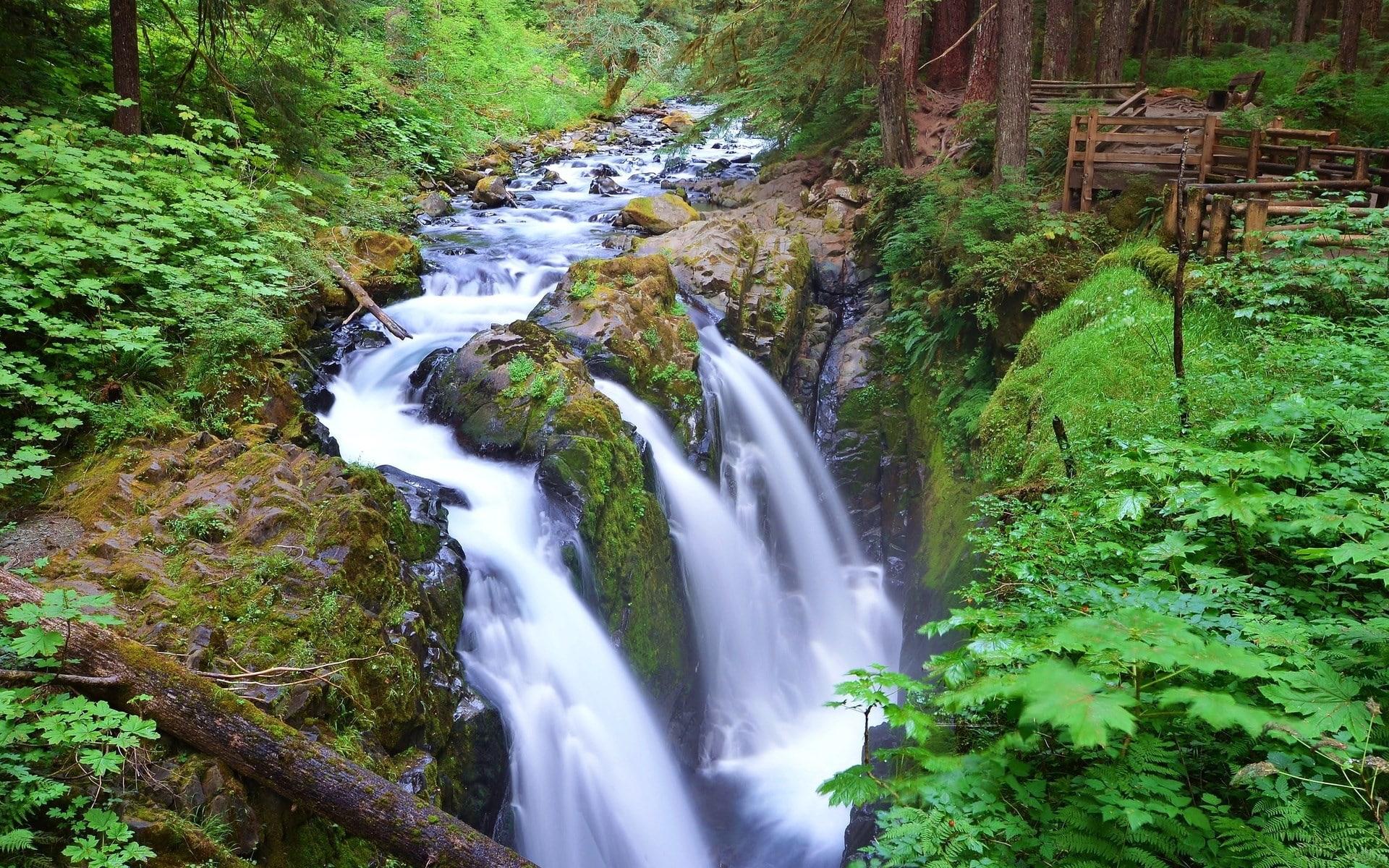 water, falling water, rock, motion, stream - flowing water, waterfall, tree, beauty in nature, green color, scenics - nature, long exposure, no people, HD Wallpaper