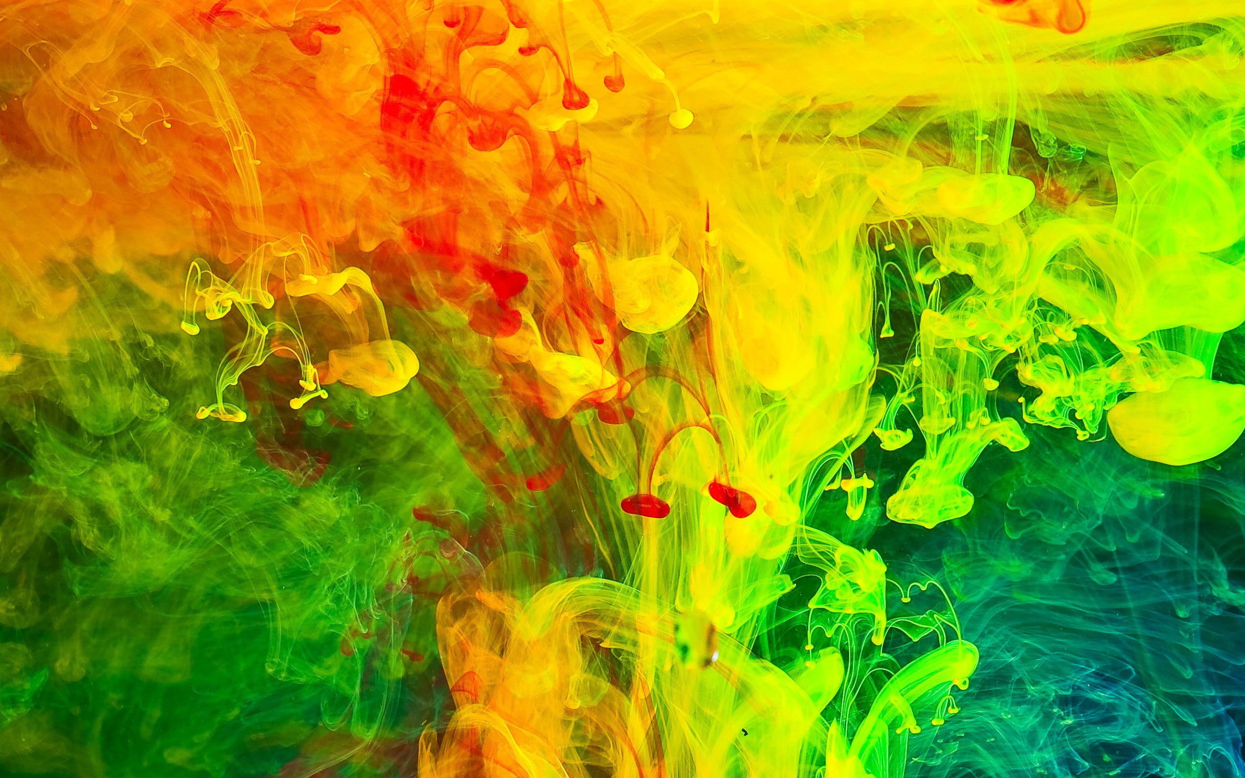 paint in water, abstract, liquid, 2K, colorful, artwork, HD Wallpaper