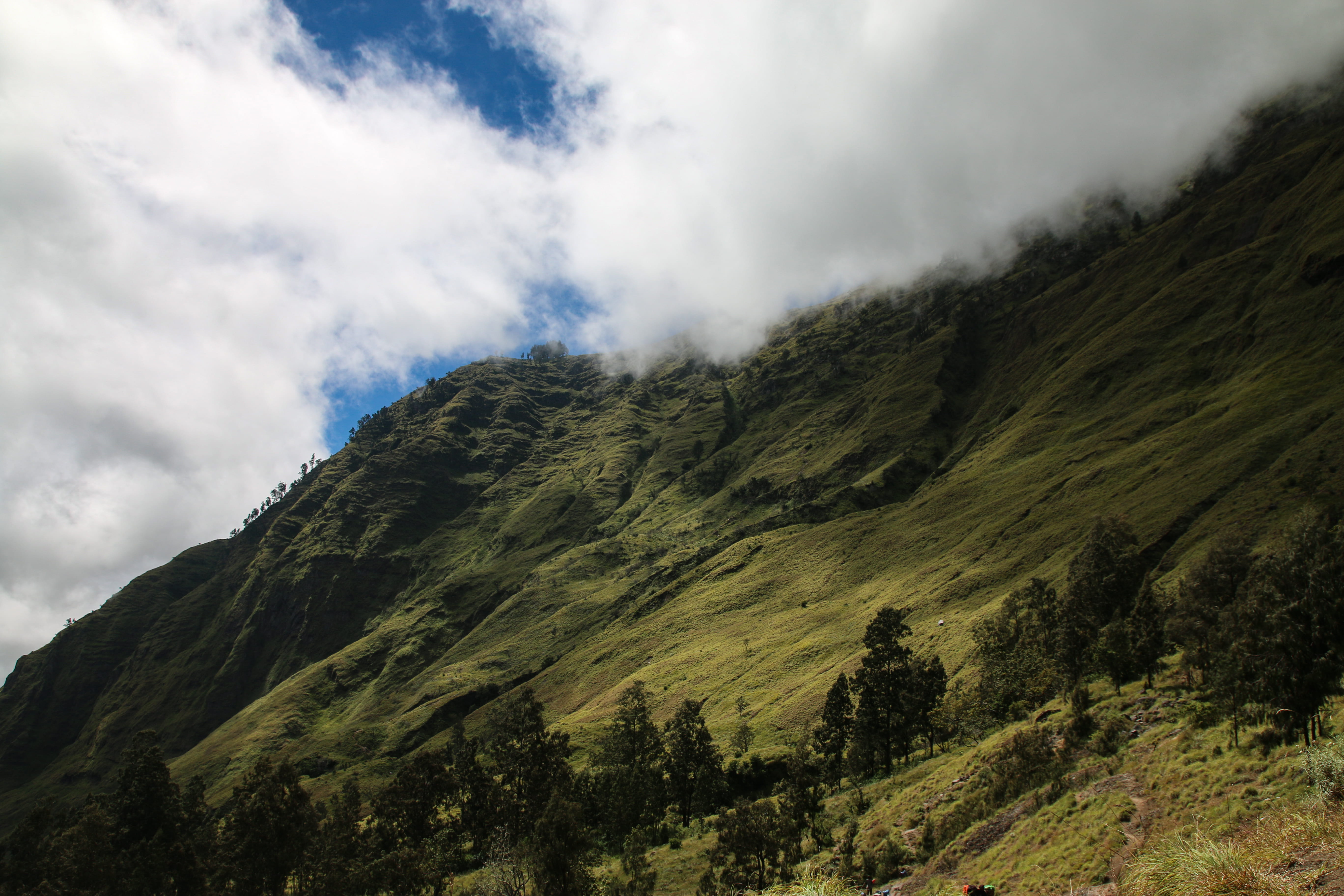view, fog, mountain, landscape, photography, tranquil scene, tranquility, 5K, outdoors, aerial, sky, tree, coniferous tree, rinjani, photo, green, vulcano, HD Wallpaper