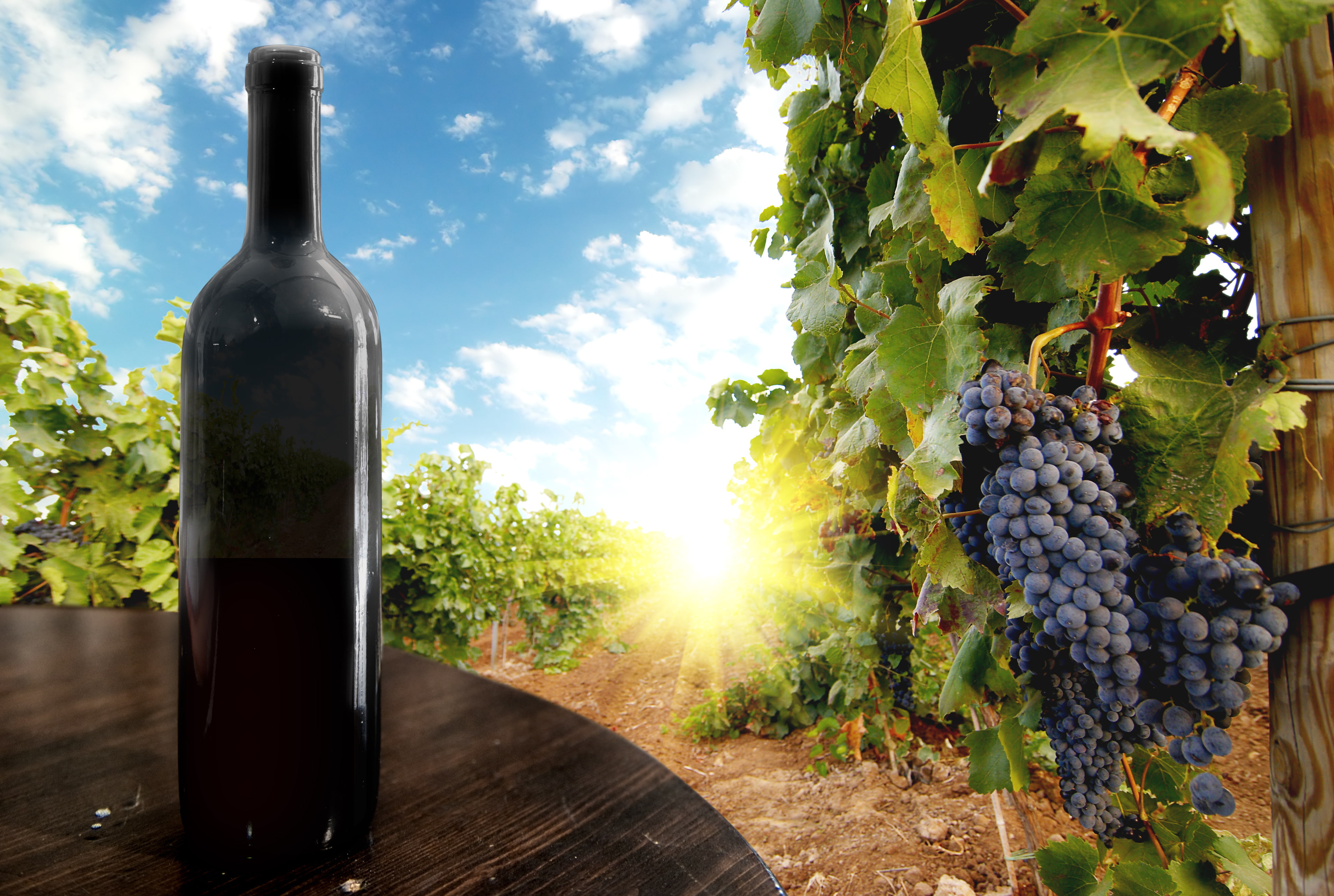 close-up, healthy eating, drinking Glass, sky, wine Bottle, clouds, freshness, sunlight, refreshment, rural Scene, red, merlot Grape, summer, glass - Material, HD Wallpaper