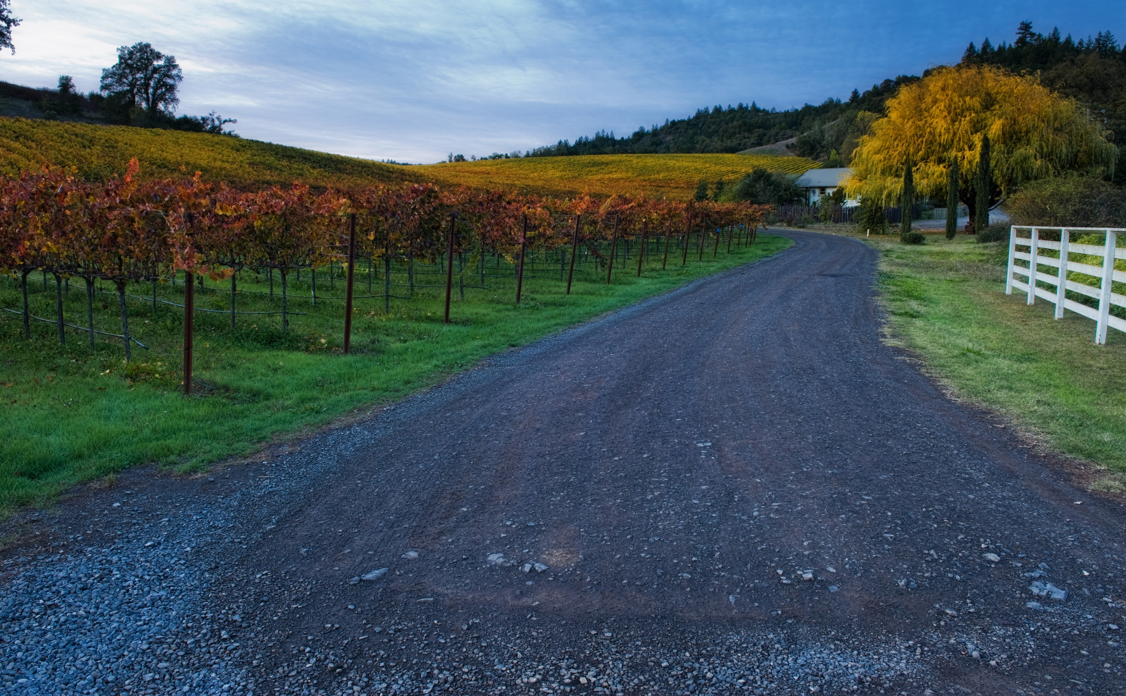 diminishing perspective, Orange, field, California, god of wine, woehler, nature, scenics - nature, Clouds, Grass, transportation, Valley, drink, River, HD Wallpaper