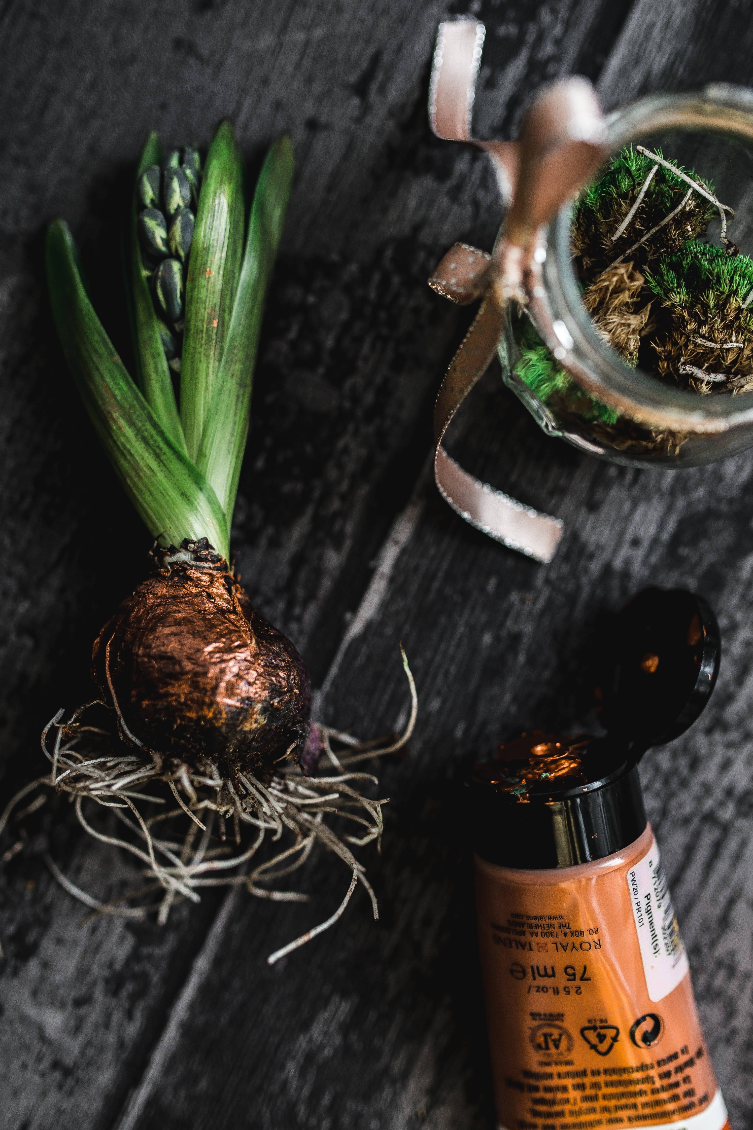 spice, Woman, herb, decoration, organic, planting, small, wood - material, little, adornment, freshness, crafting, 4K, table, food, plant, ornament, container, Phone HD Wallpaper