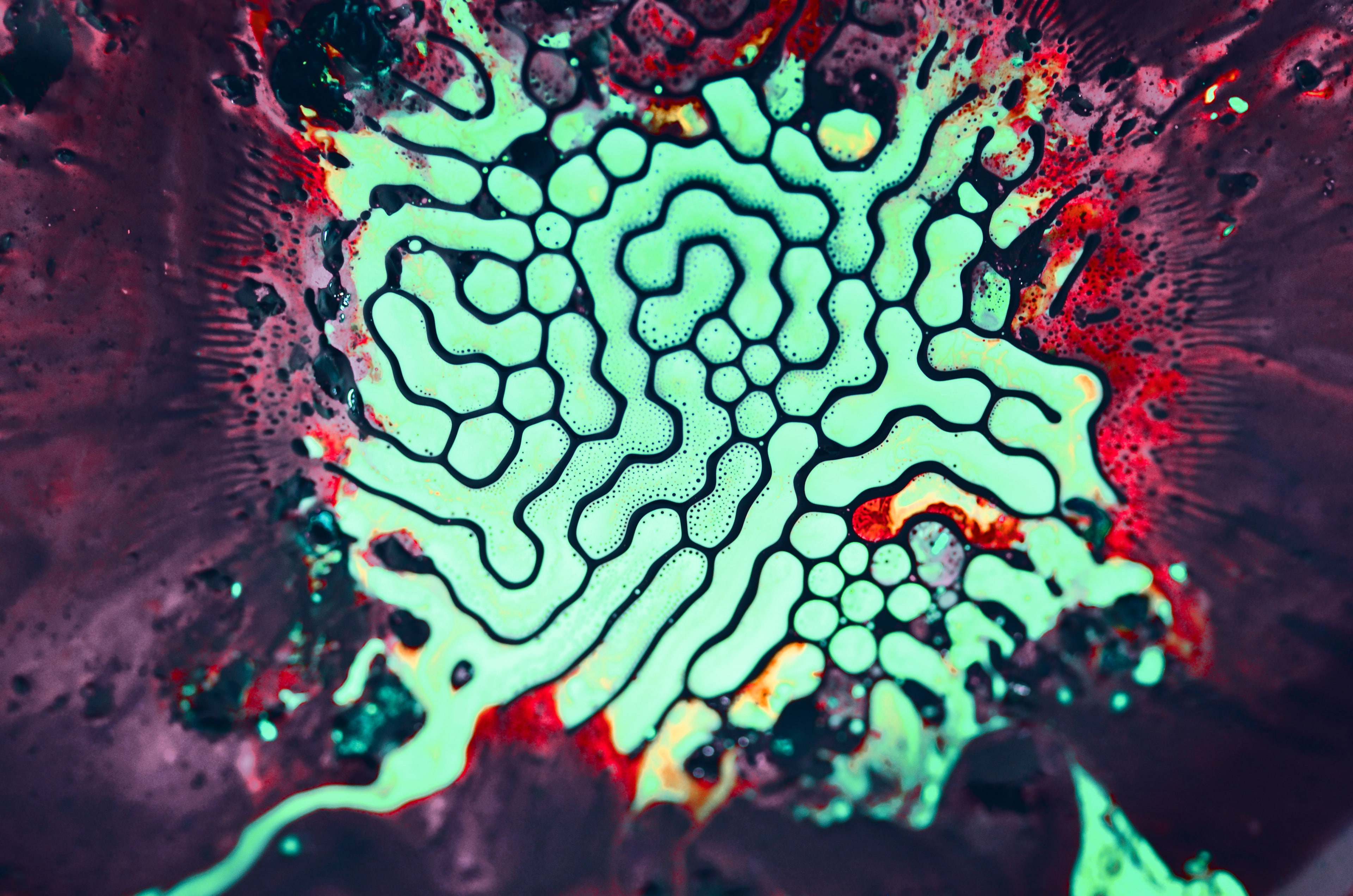 4K, Render, Cells, Ferrofluid, 4K, HD Wallpaper