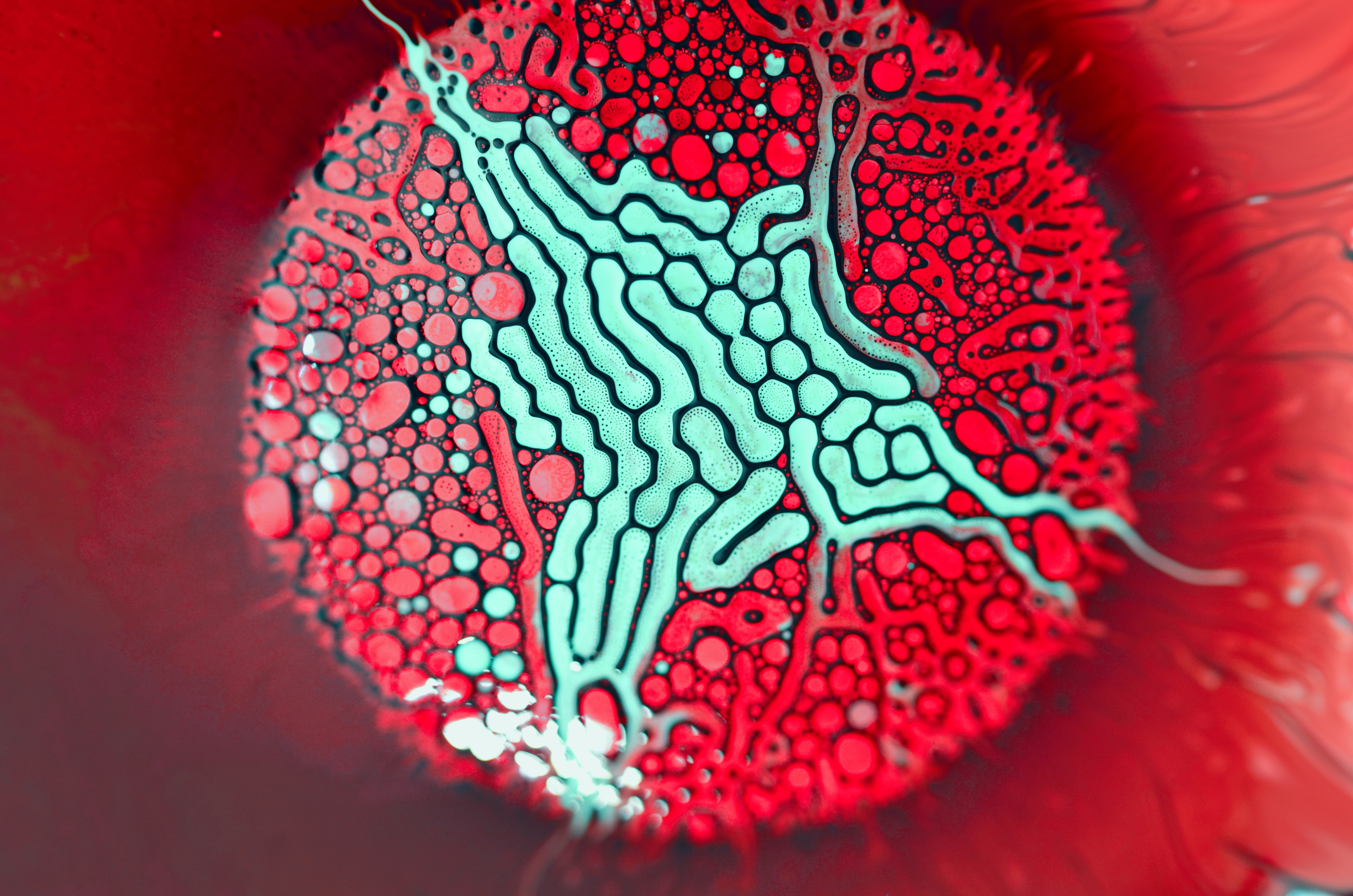 HD, 4K, Ferrofluid, Red, 4K, HD Wallpaper