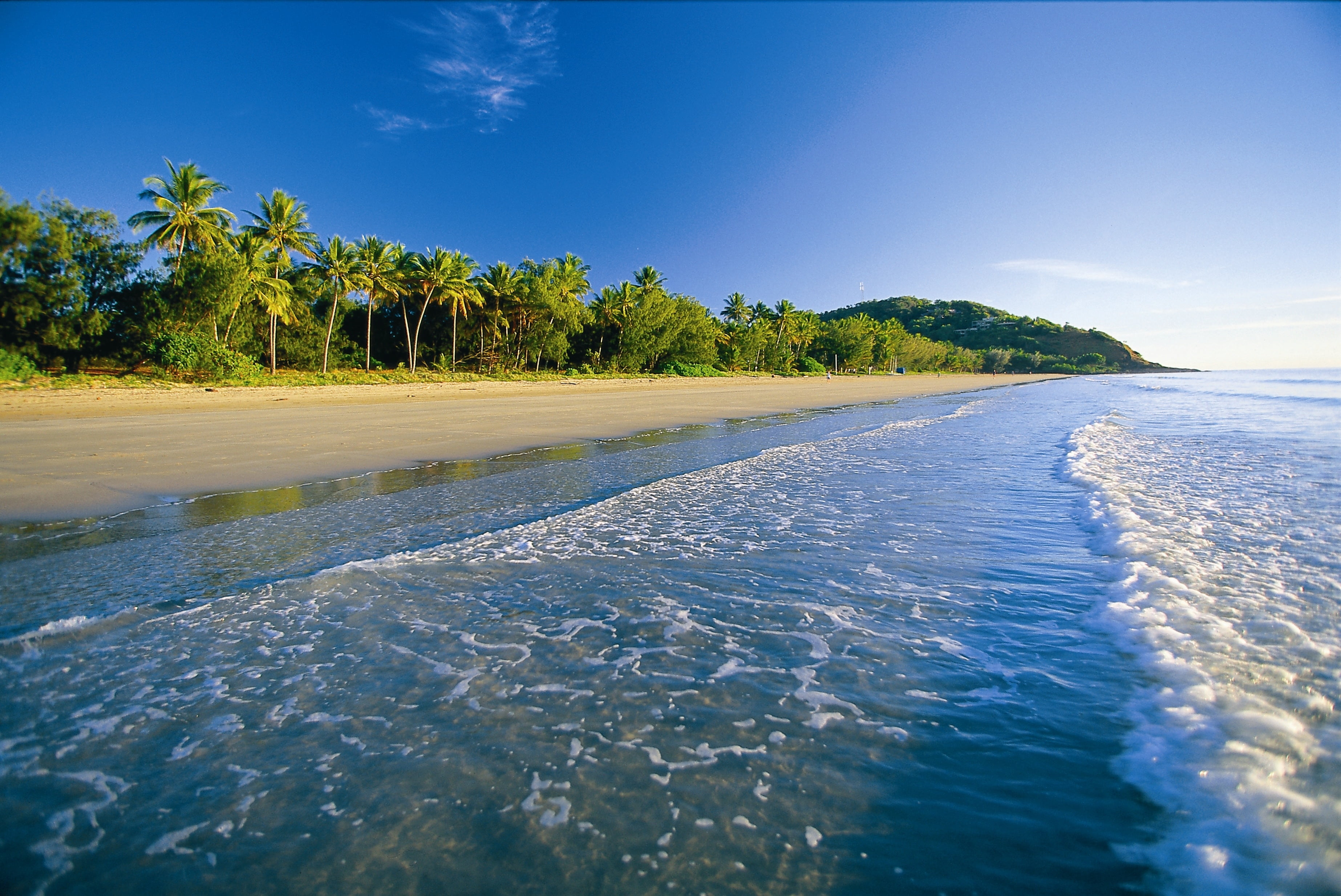 plant, foam, seascape, vacations, wave, tranquil Scene, coconut Palm Tree, tourism, travel, nature, sunny, sky, travel Destinations, land, tropics, day, HD Wallpaper
