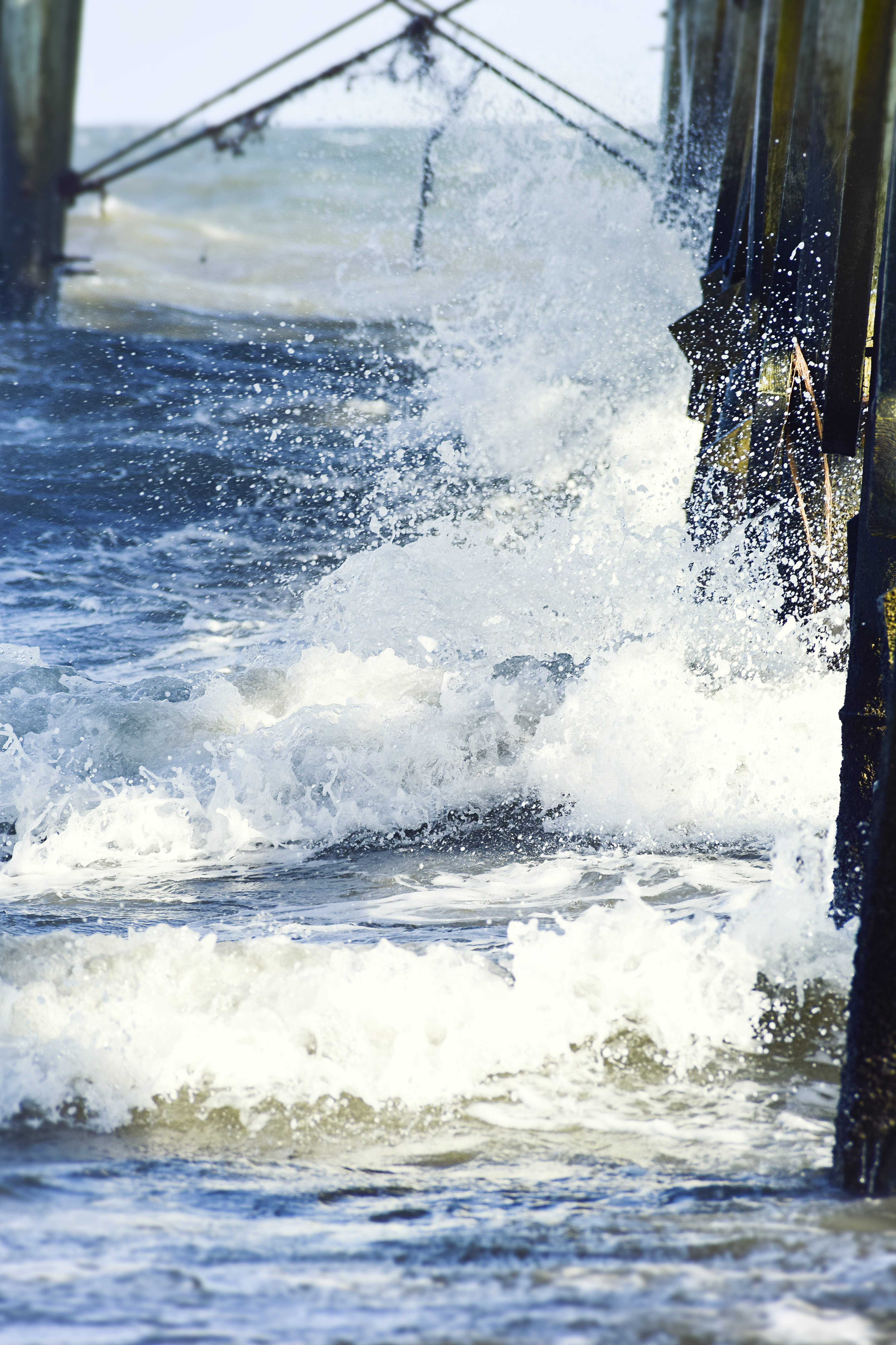 exotic, clear, summer, water background, power in nature, aquatic sport, motion, landscape, wood, isle of palms, salt, caribbean, south, liquid, speed, Phone HD Wallpaper