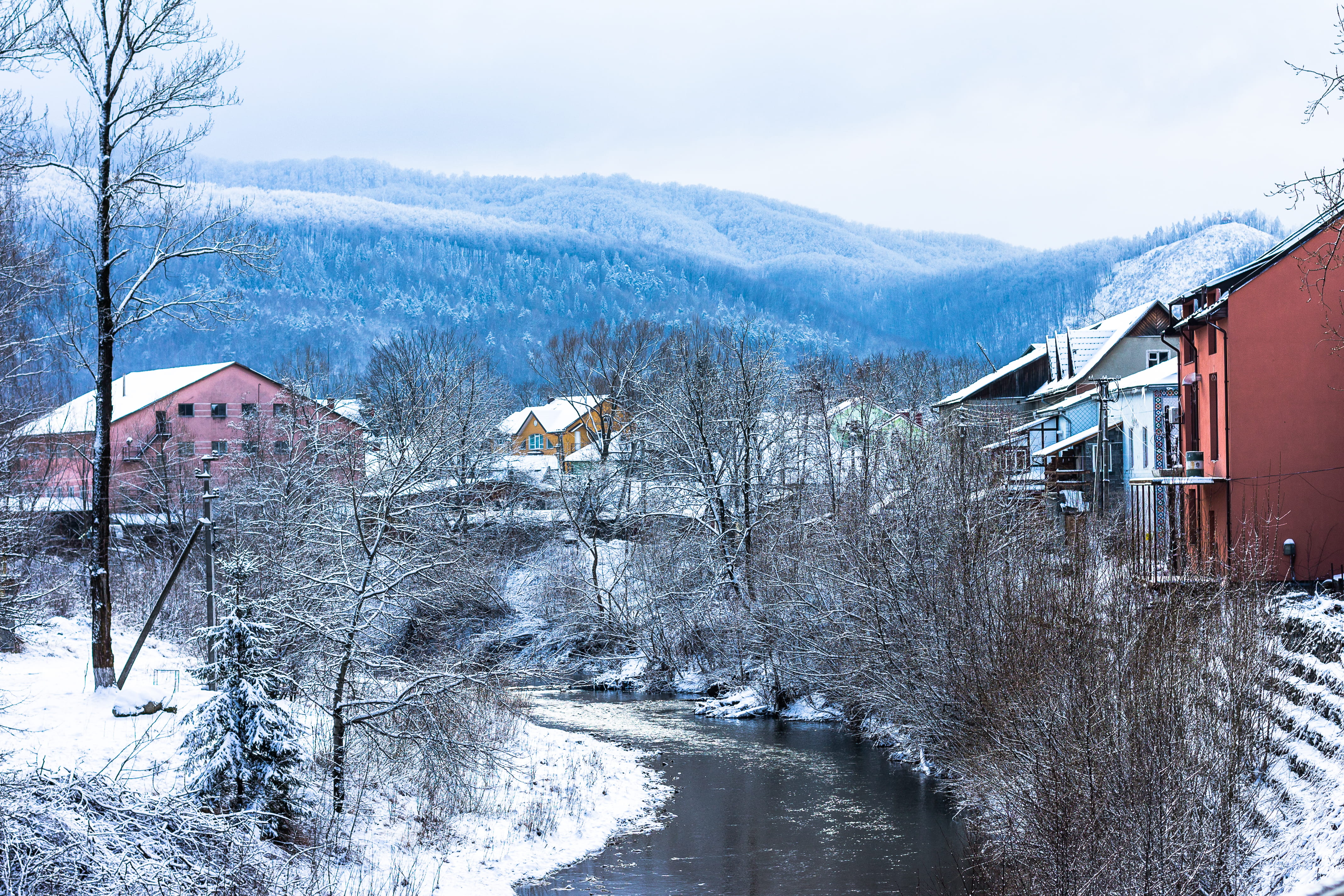plant, tree, snowy, river, scenics - nature, day, woods, mountain, beauty in nature, cold temperature, top, frost, 4K, tranquility, houses, trees, frozen, HD Wallpaper