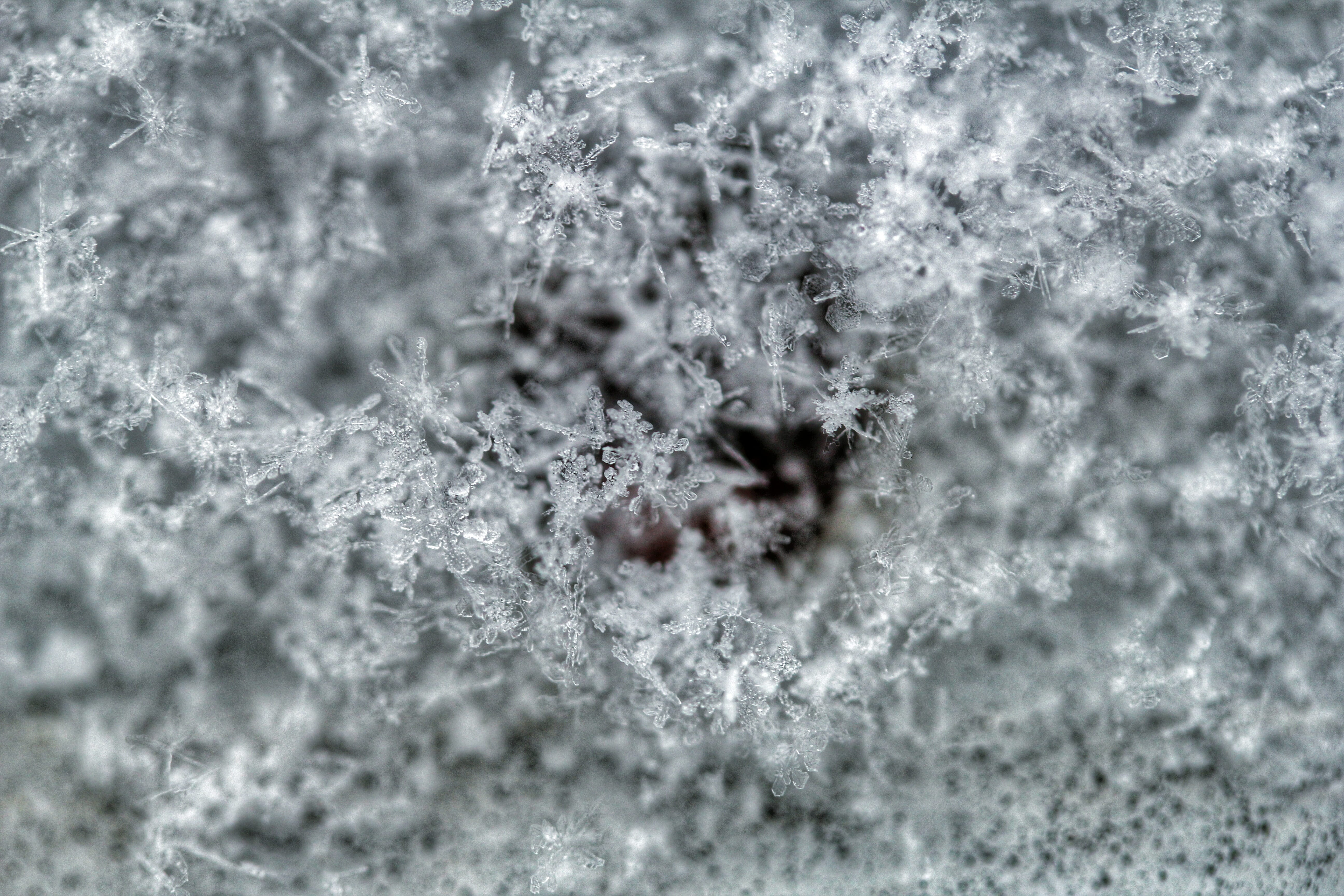 frosty, icy, snow, covered, close-up, full frame, crystals, frozen, close -up, 5K, winter, macro photography, beauty in nature, backgrounds, water, icee, HD Wallpaper