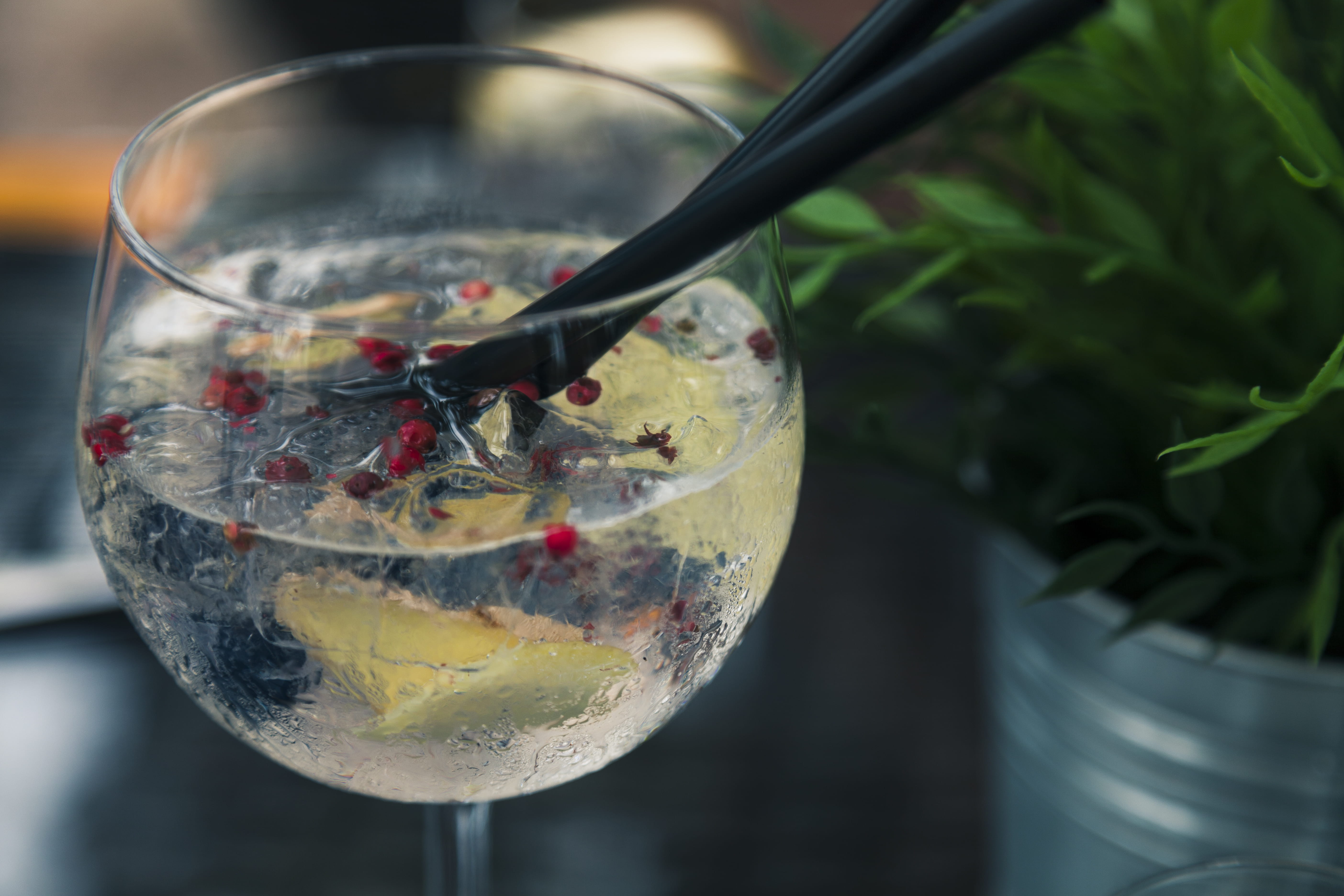 focus on foreground, vodka, no people, liquid, glass, citrus, wellbeing, bar, healthy eating, food, household equipment, indoors, beverage, tasty, cold, HD Wallpaper