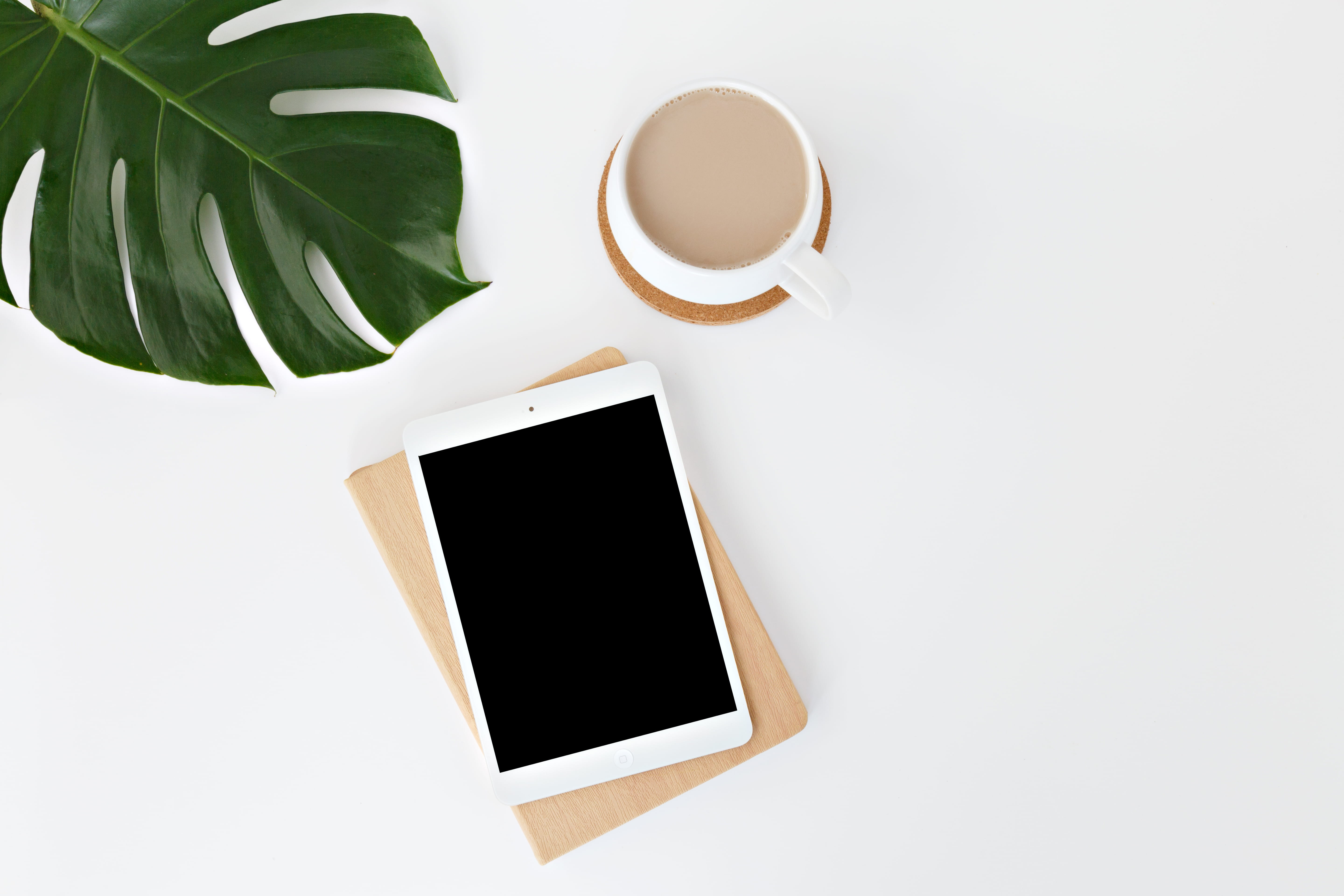 homeoffice, digital, top view, screen, wood, notebook, flatlay, minimalist, white background, white color, copy space, top, group of objects, food and drink, HD Wallpaper