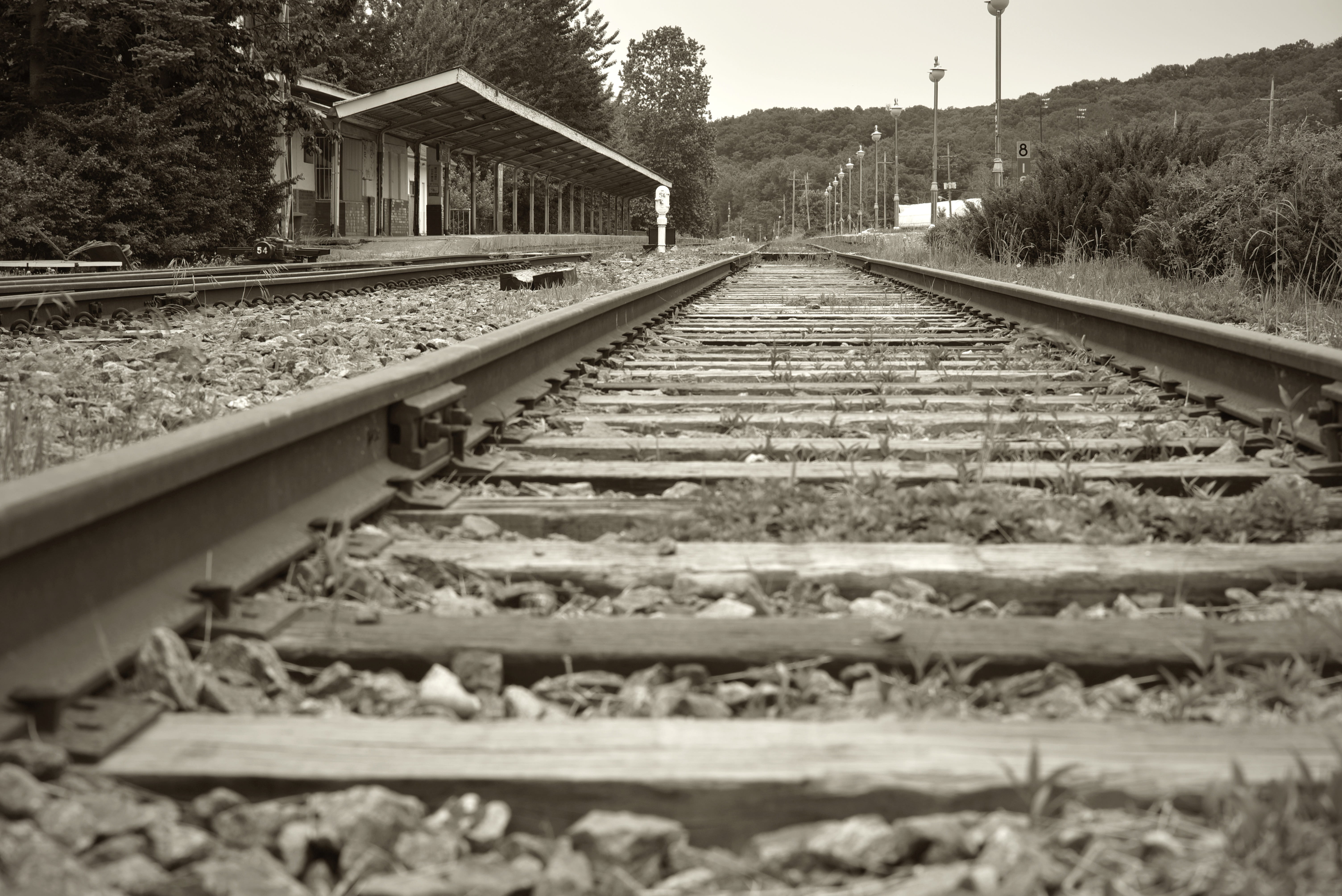 the way forward, cat, nature, for the room, vanishing point, railway, item, lung area, outdoors, gravel, station, black and white, the ticket office, wicket, HD Wallpaper