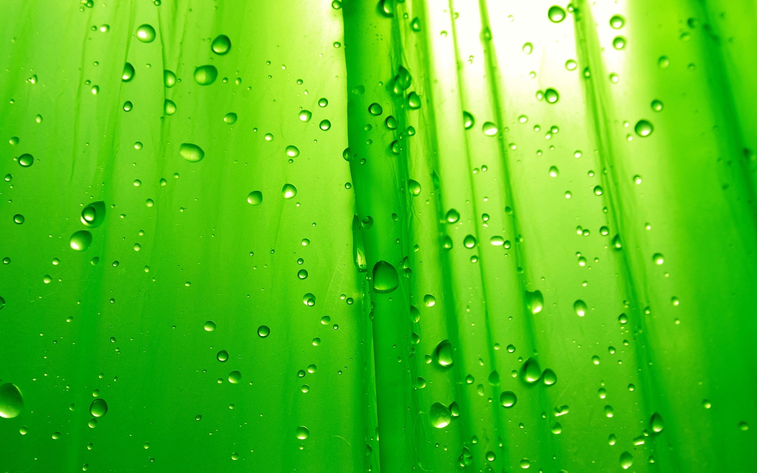 2K, simplicity, green, HD Wallpaper