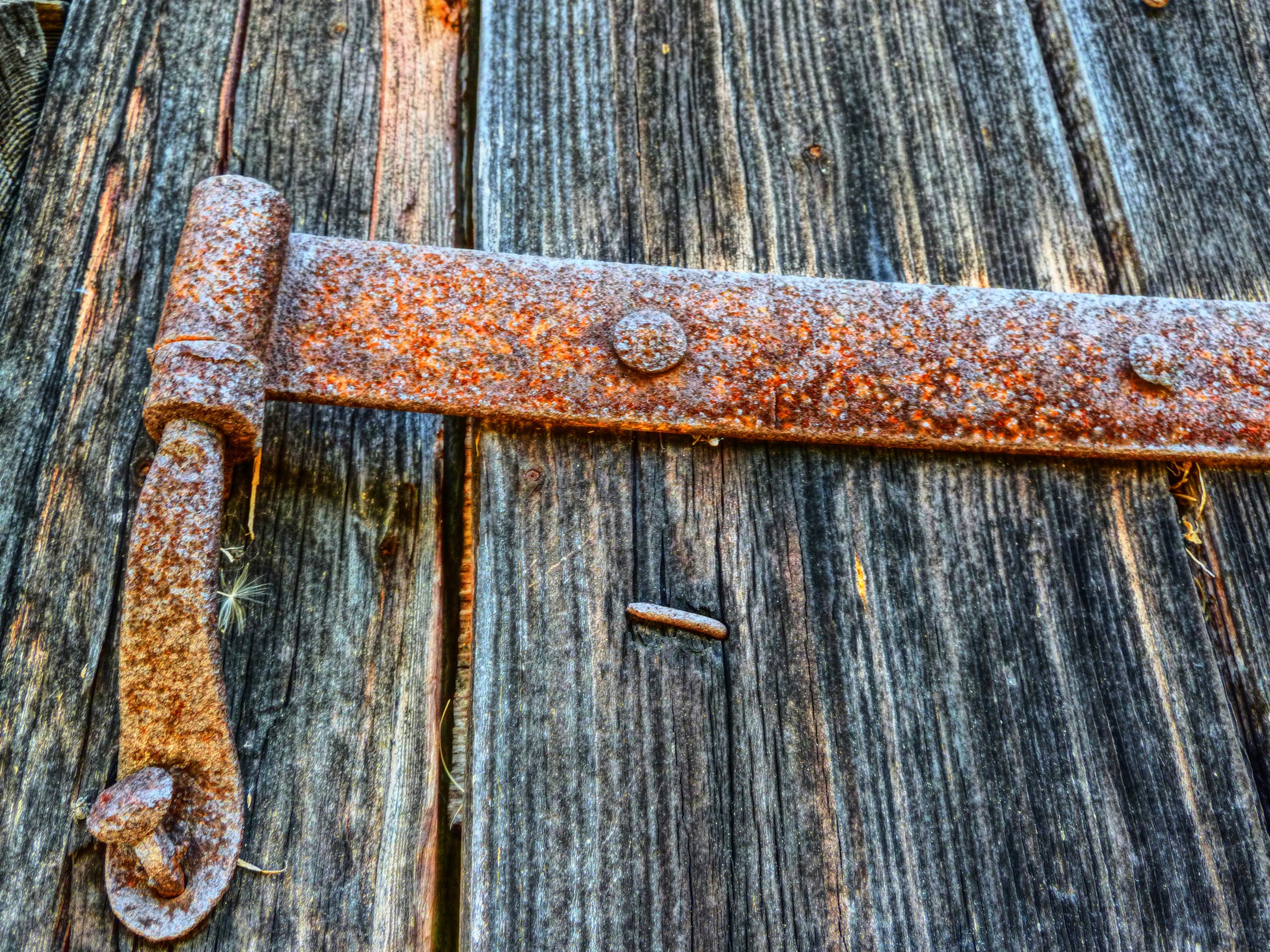 latch, damaged, ancient, metal, run-down, steel, nail, hdr, antiques, decline, close-up, door, vintage, outdoors, weathered, wood, rusty, entrance, grunge, HD Wallpaper