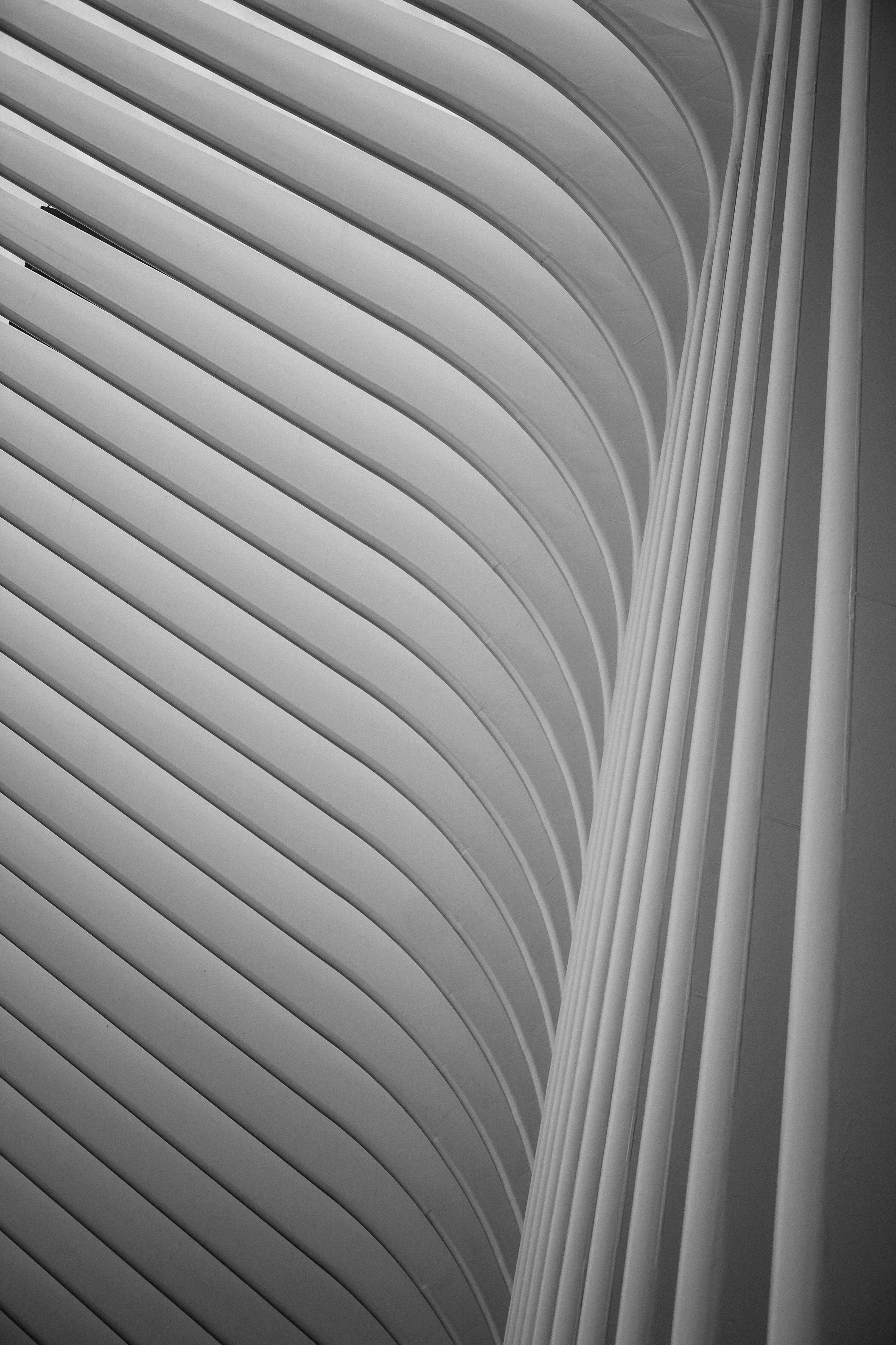 wall - building feature, curve, indoors, still life, detail, no people, archway, 4K, order, abstract, white color, close-up, corrugated, minimalist, design, Phone HD Wallpaper