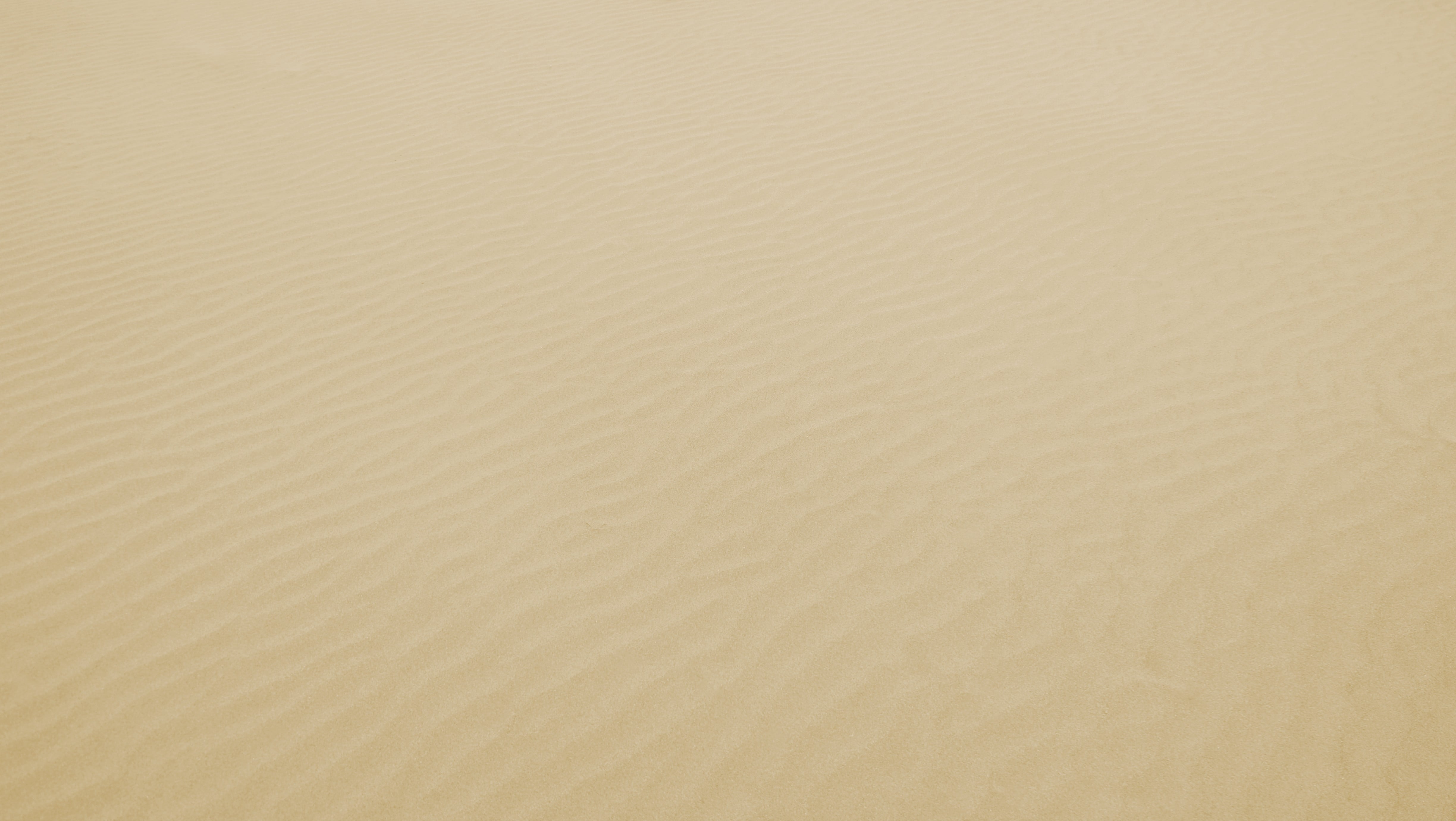 nature, backgrounds, beauty in nature, white, sand, clean, studio shot, close-up, textured, full frame, 4K, land, outdoors, brown, copy space, pattern, HD Wallpaper