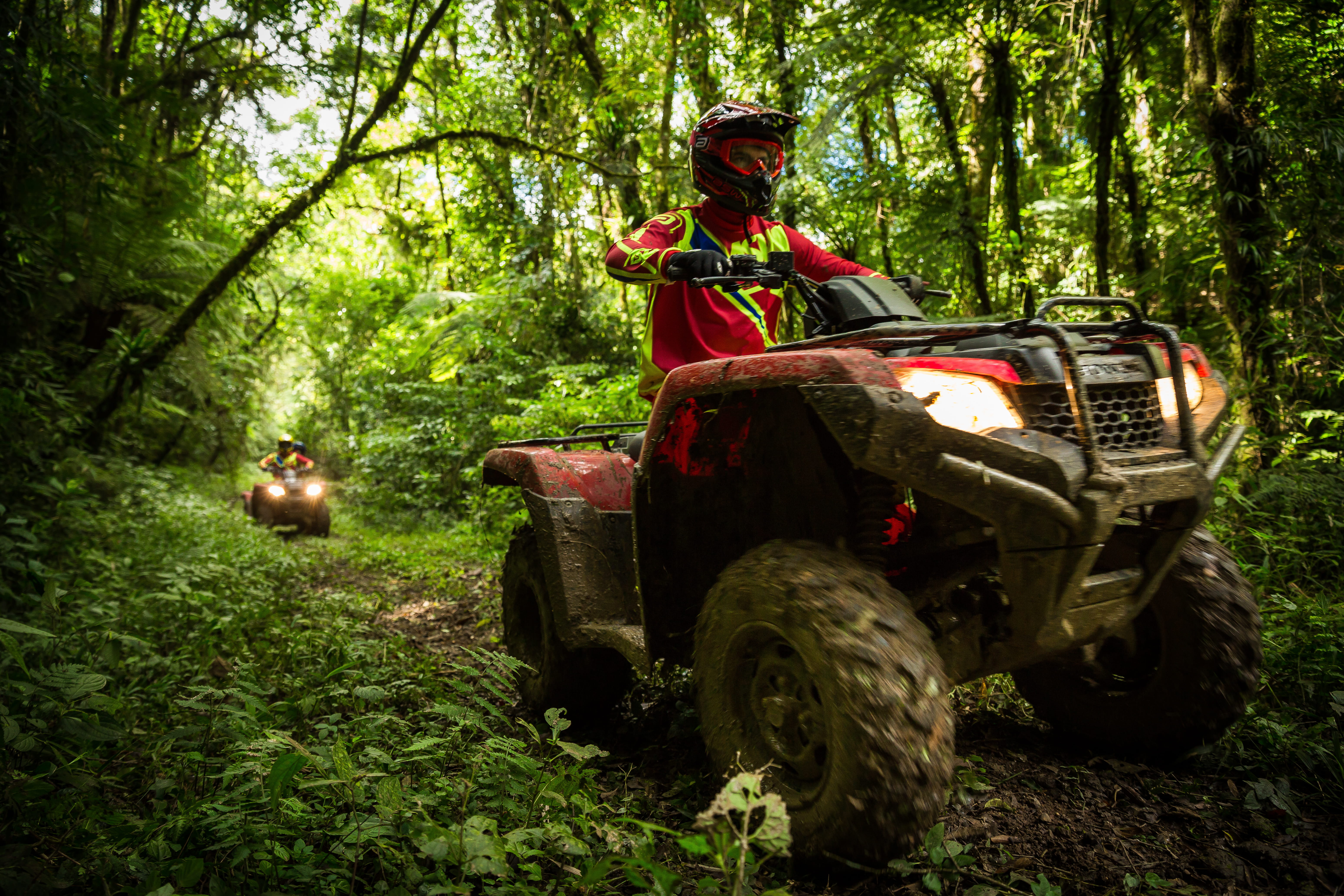 forest, honda, land vehicle, travel, leisure activity, asw, one person, plant, woodland, quadriciclo, real people, riding, passeio em curitiba, 5K, aventura, HD Wallpaper