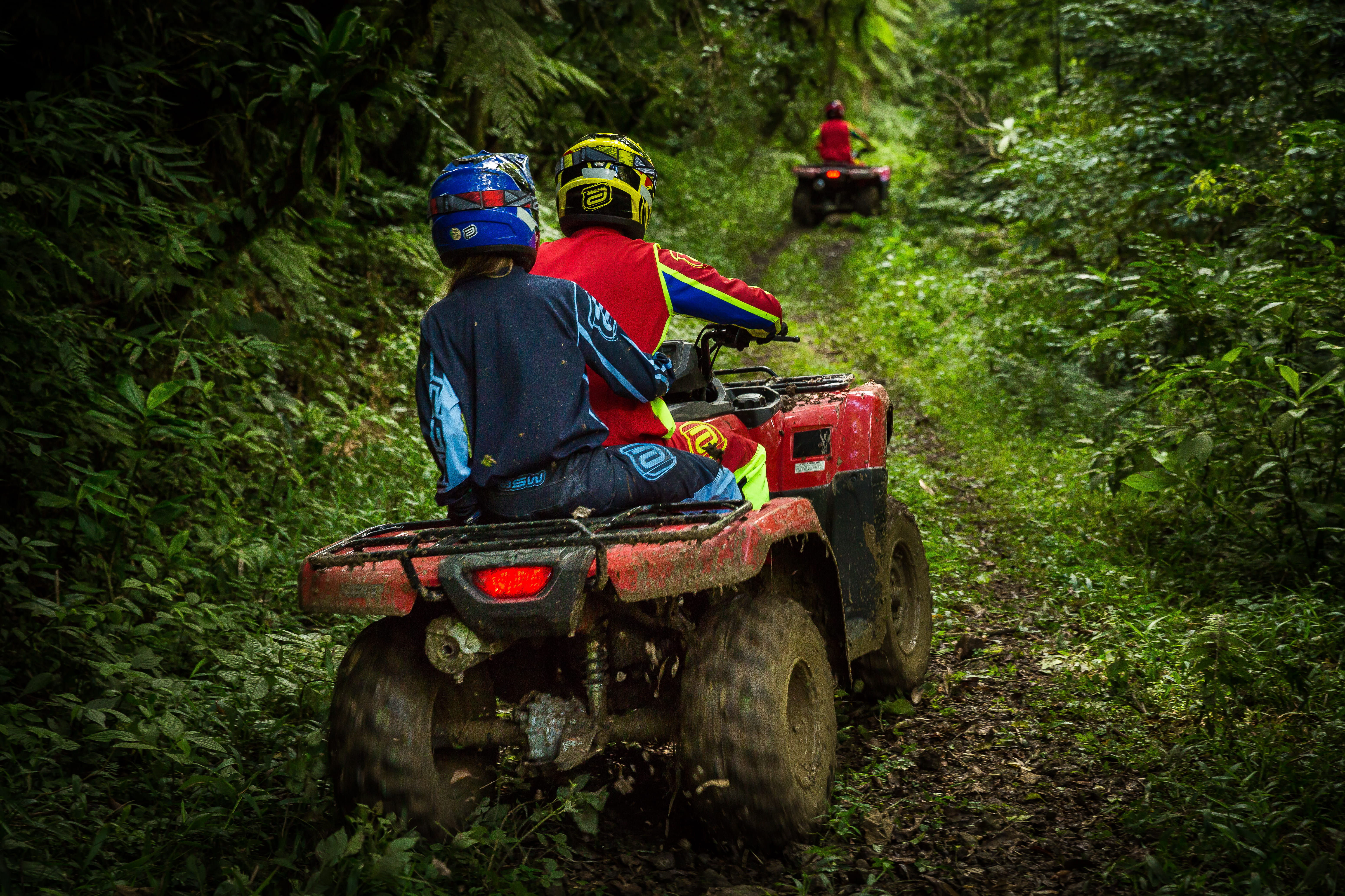 mata, men, people, ride, sports helmet, land vehicle, plant, mxparts, floresta, motorsport, helmet, biker, asw, honda, mode of transportation, sport, quadriciclo, HD Wallpaper