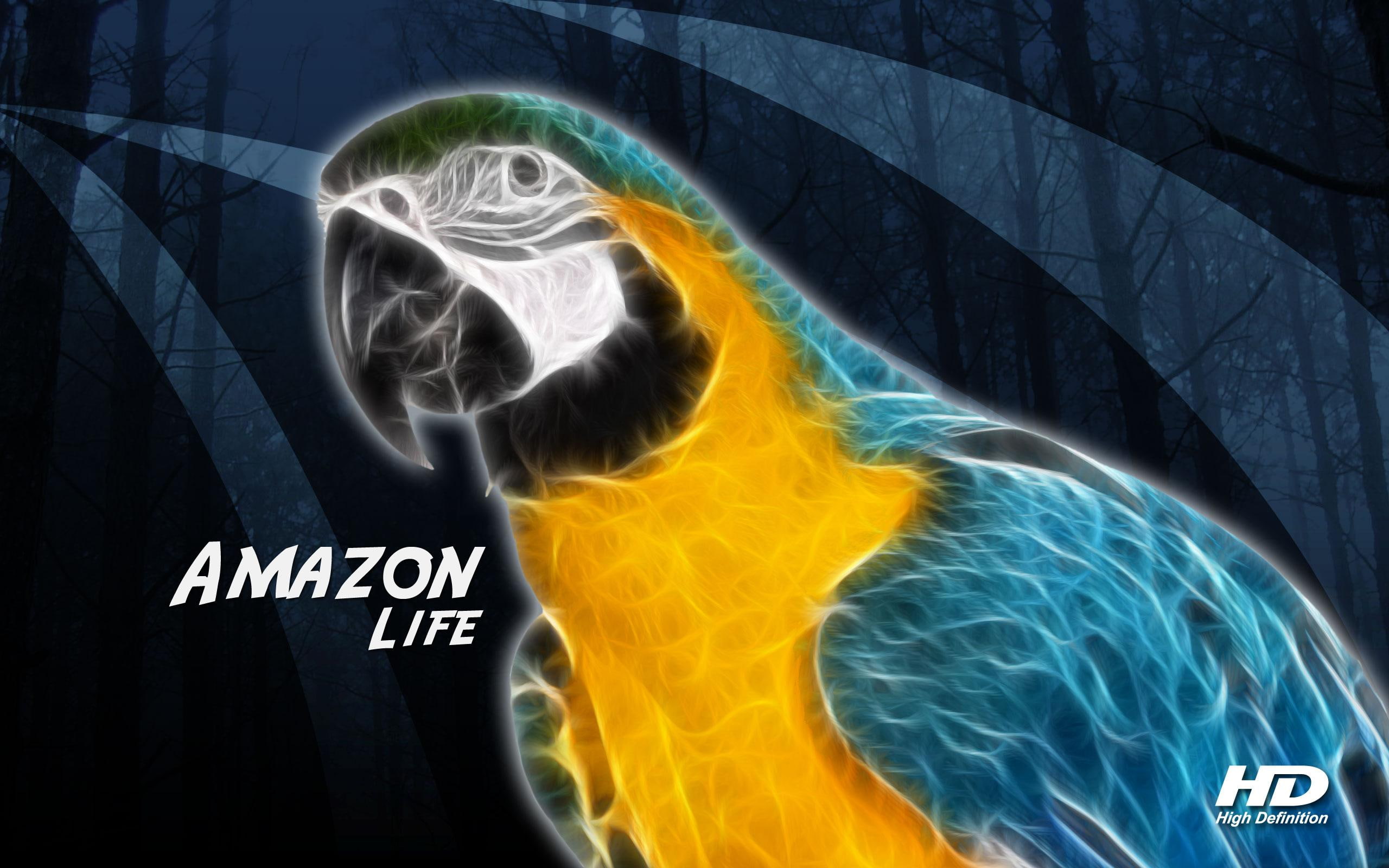 apareance, macaw, amazon, mateus, 2K, arara, life, soave, high definition, design, yellow, mata, blue, mateussoave, HD Wallpaper