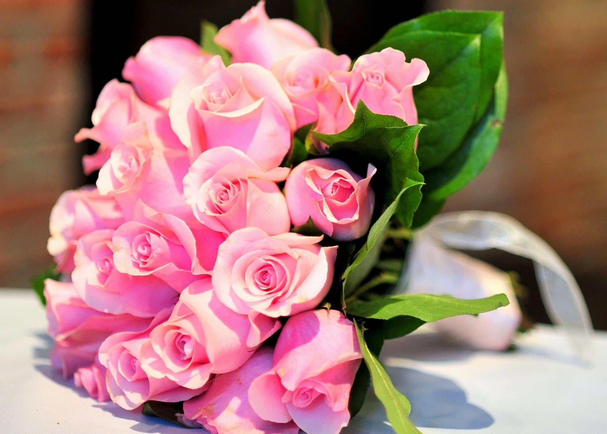 freshness, rose - Flower, bunch of flowers, plant part, outdoors, love, backgrounds, beauty In Nature, petal, flower, flowering plant, fragility, rose, HD Wallpaper