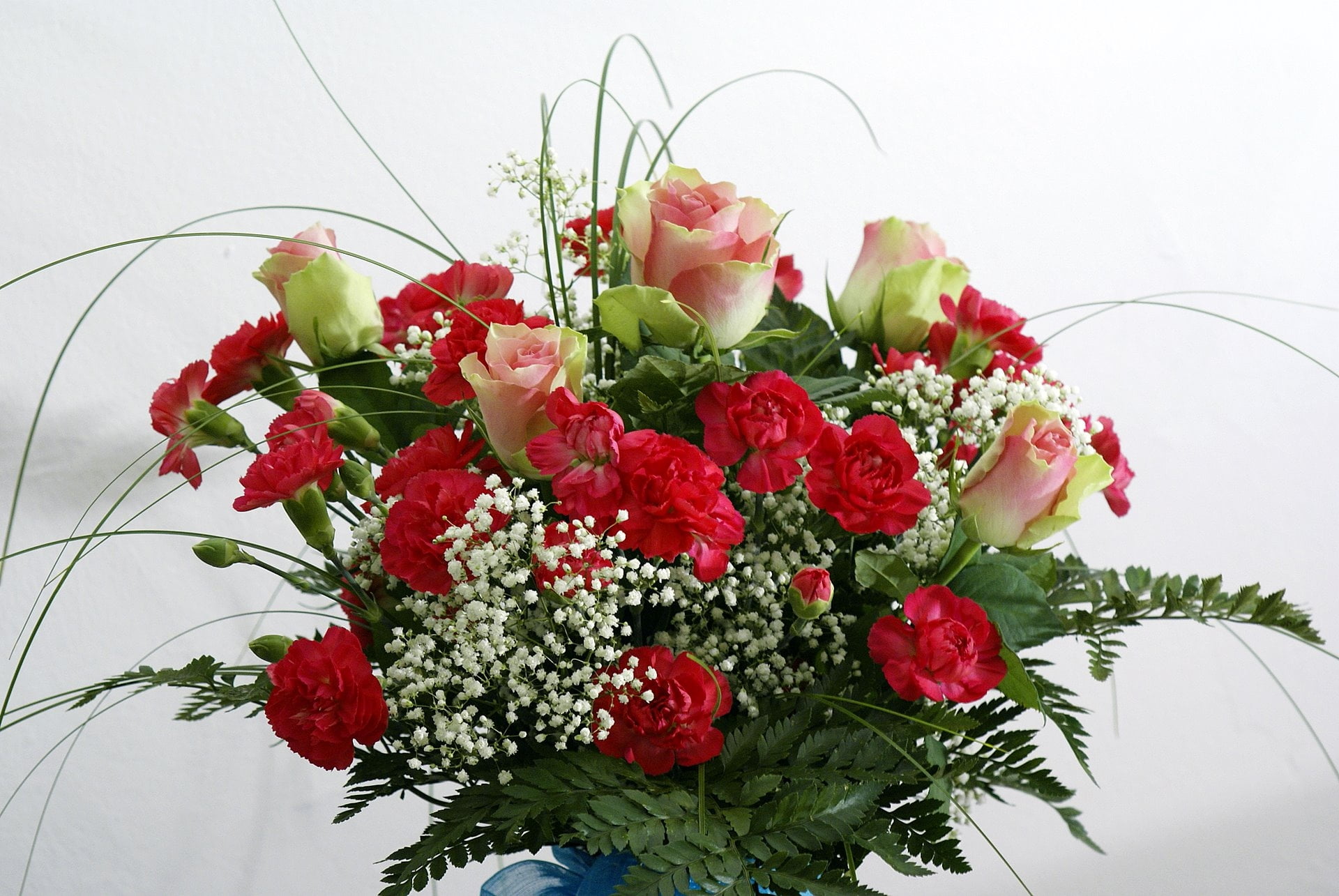roses, nature, freshness, beauty In Nature, vase, day, elegance, high angle view, summer, rose, berry fruit, valentines Day - Holiday, petal, cut Flowers, HD Wallpaper
