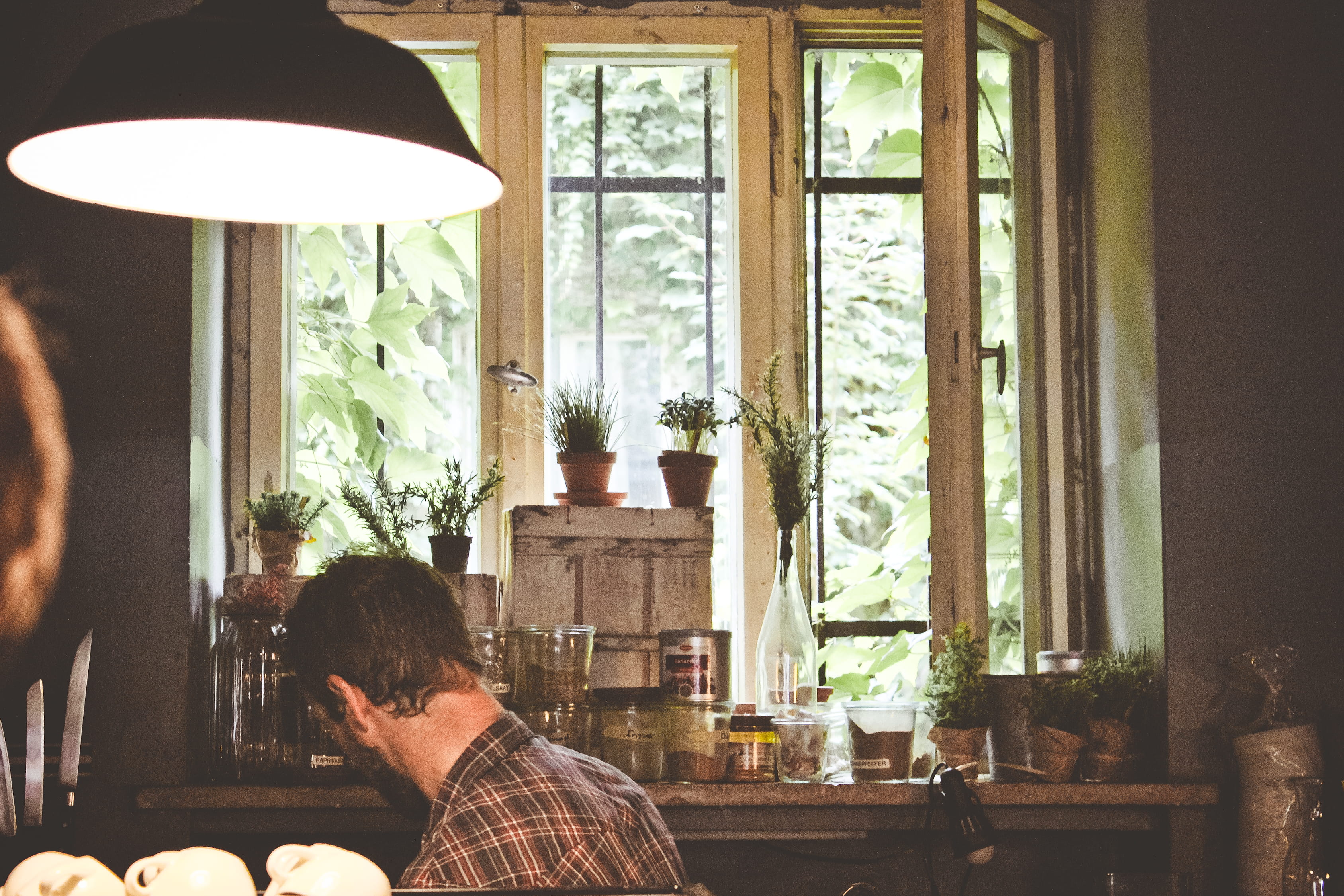 day, nature, plants, lighting equipment, sitting, food, barista, rear view, indoors, leisure activity, real people, wood, window, electric lamp, illuminated, HD Wallpaper