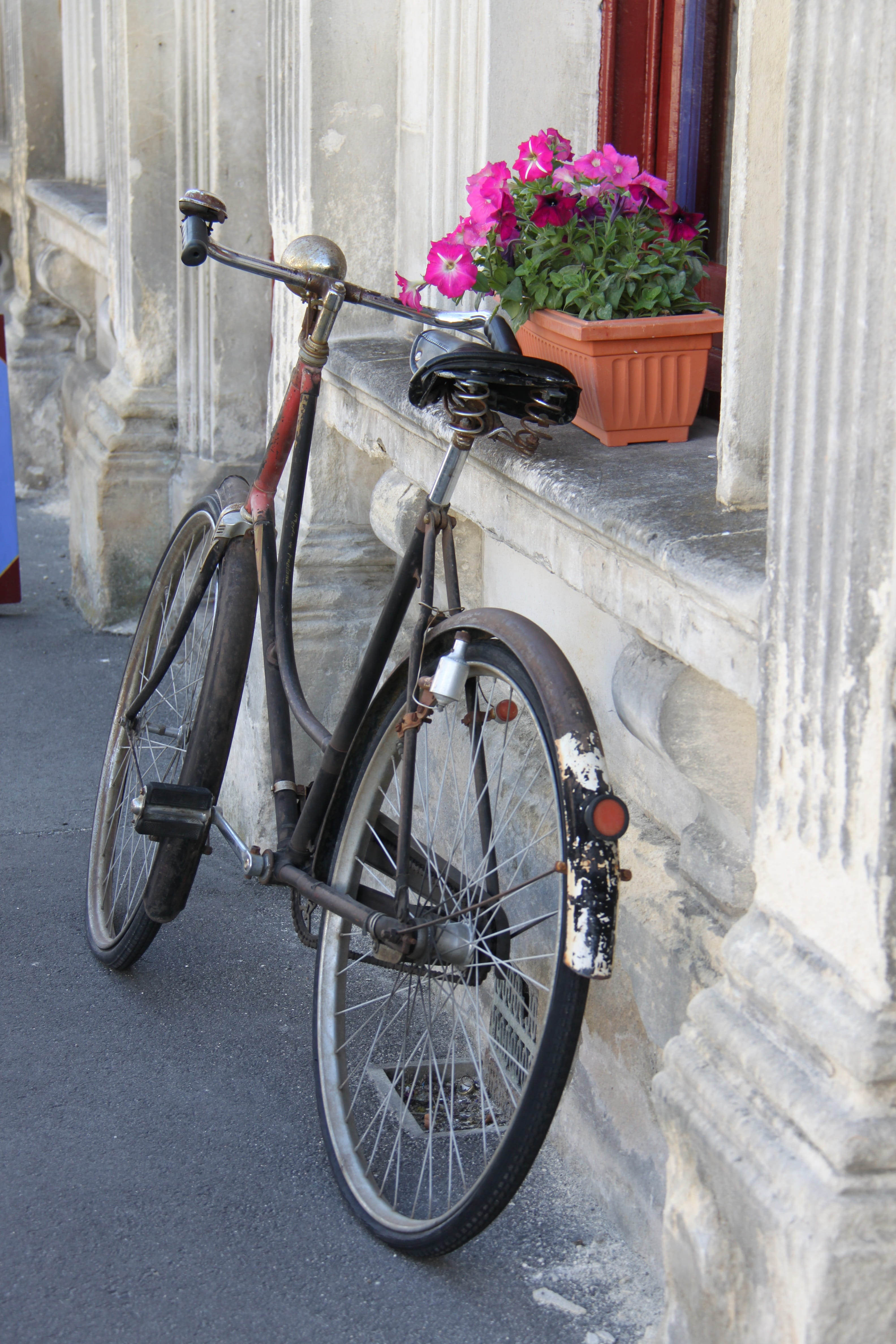 mode of transport, day, plant, Bicycle, transportation, oamaru, flowering plant, stationary, building exterior, built structure, basket, outdoors, bicycle basket, Phone HD Wallpaper