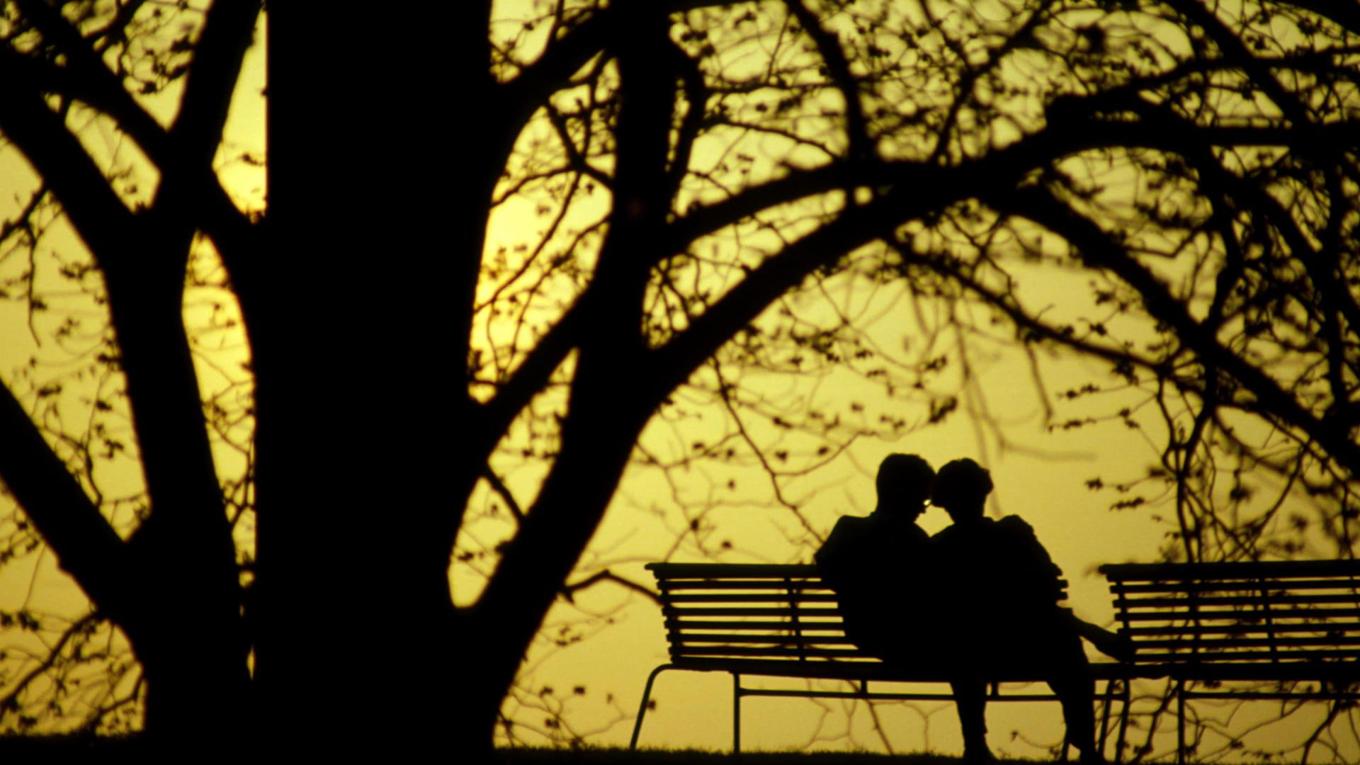 trees, romantic, 1080P, 3d and abstract, bench seats, couple, park, silhouette, twilight, HD Wallpaper