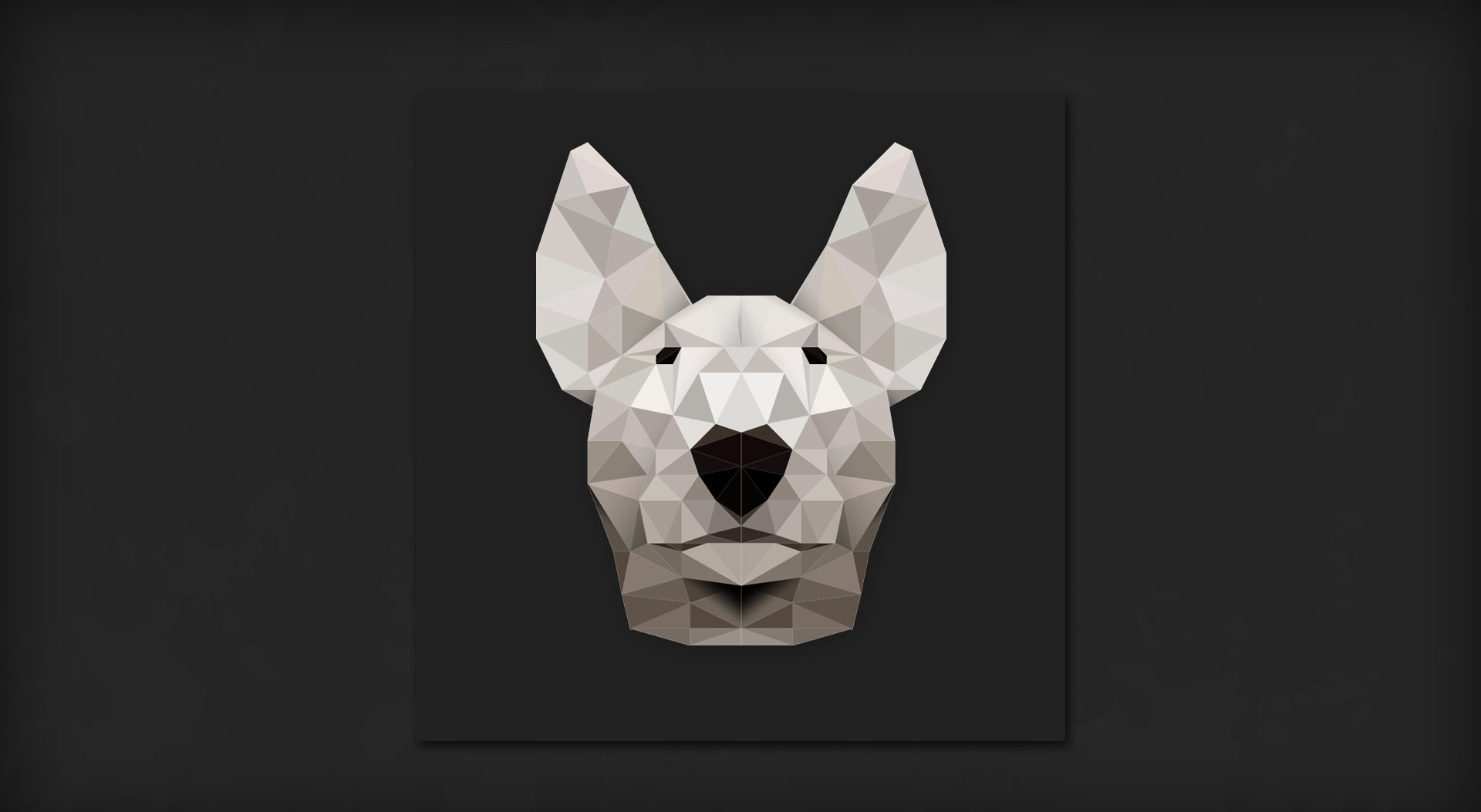 shape, still life, close-up, creativity, craft, single object, no people, geometric shape, studio shot, white, luxury, indoors, bullterrier, Vector Art, HD Wallpaper