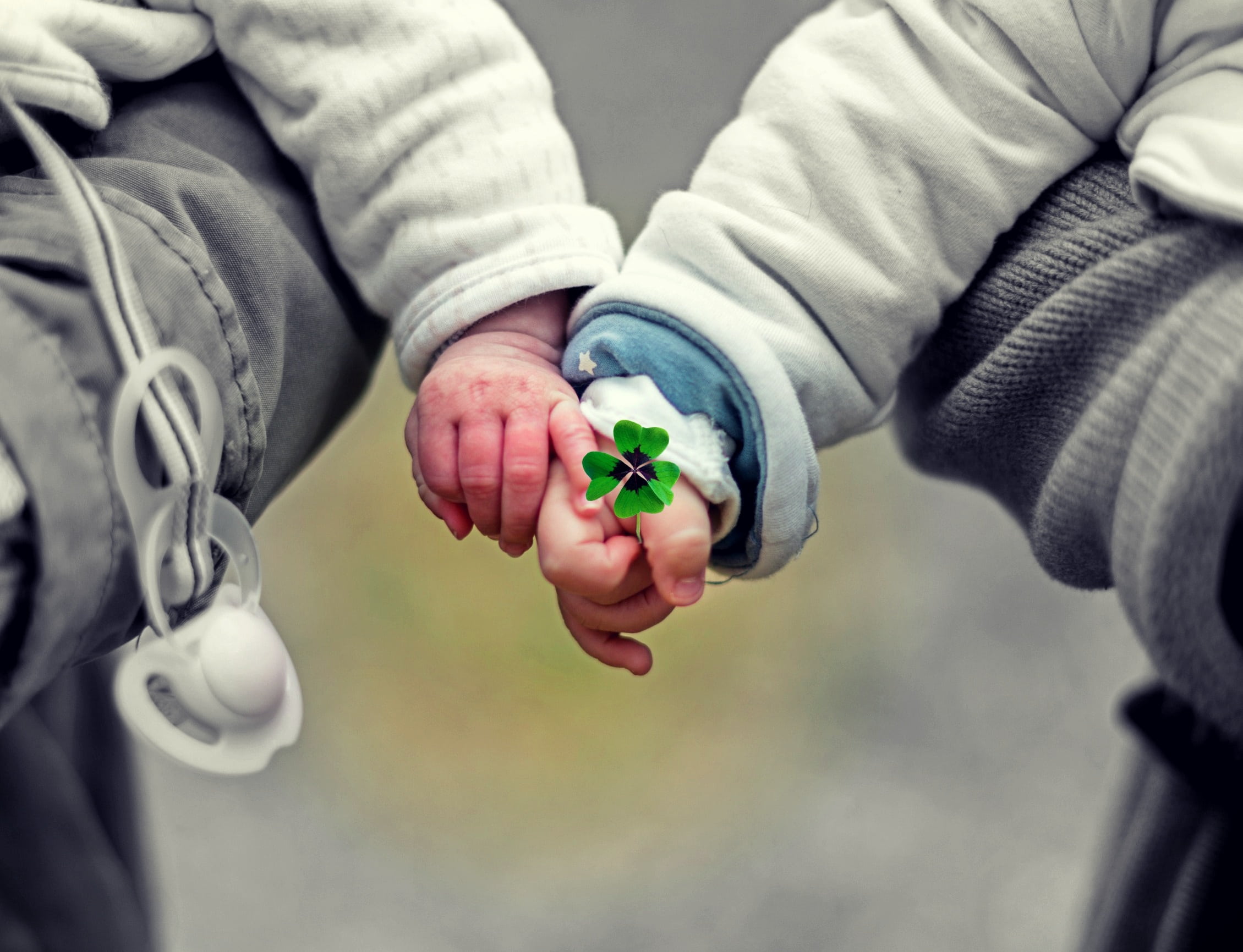 babies, outdoors, hand giving, cute, connection, community, happy, hands, romance, bridegroom, 1080P, flower, togetherness, men, detention, four leaf clover, HD Wallpaper