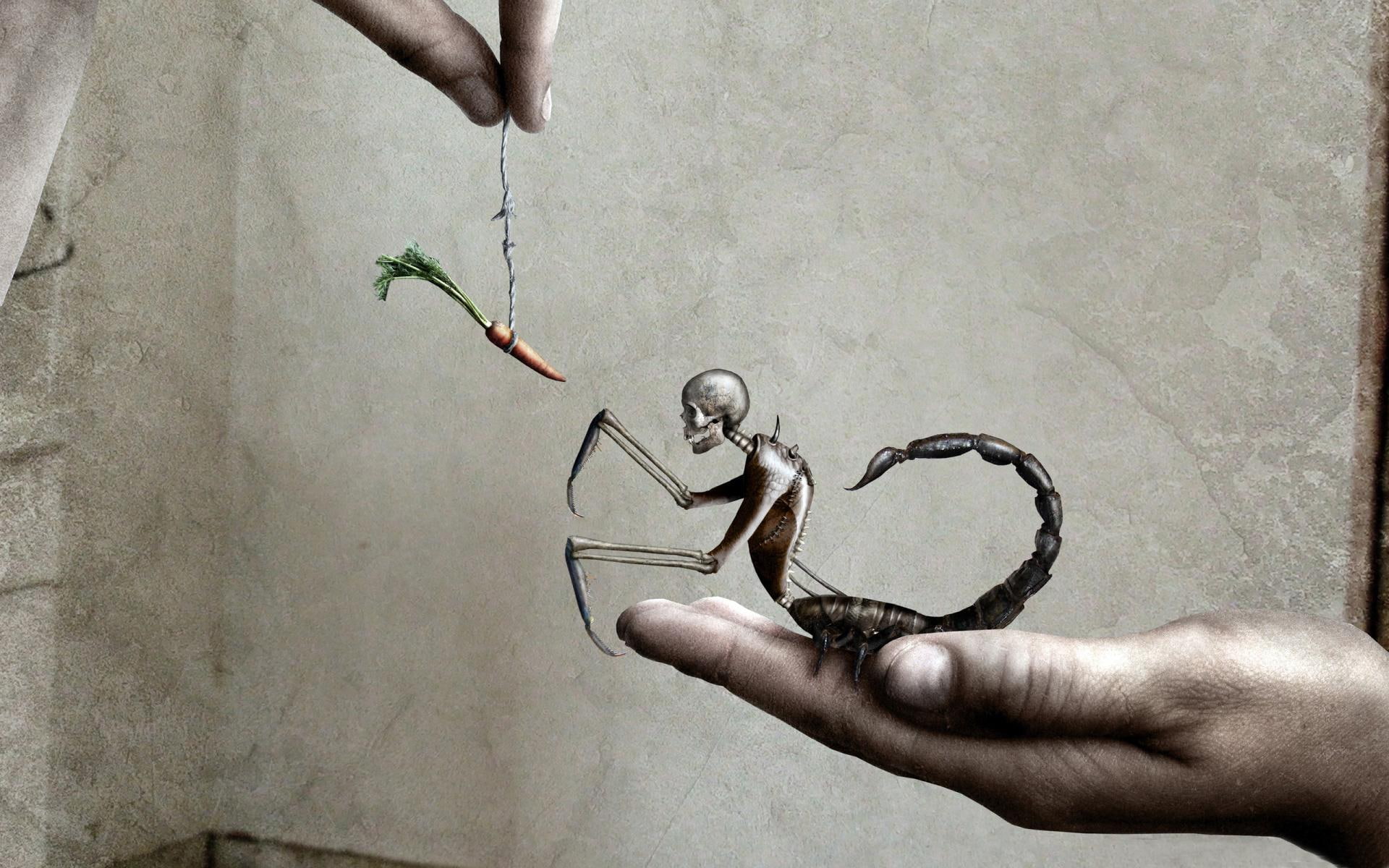 painting, aiming, 3d and abstract, skeleton, mind, dangle, scorpion, fantasy, 3d, 1080P, imagination, carrot, hands, HD Wallpaper