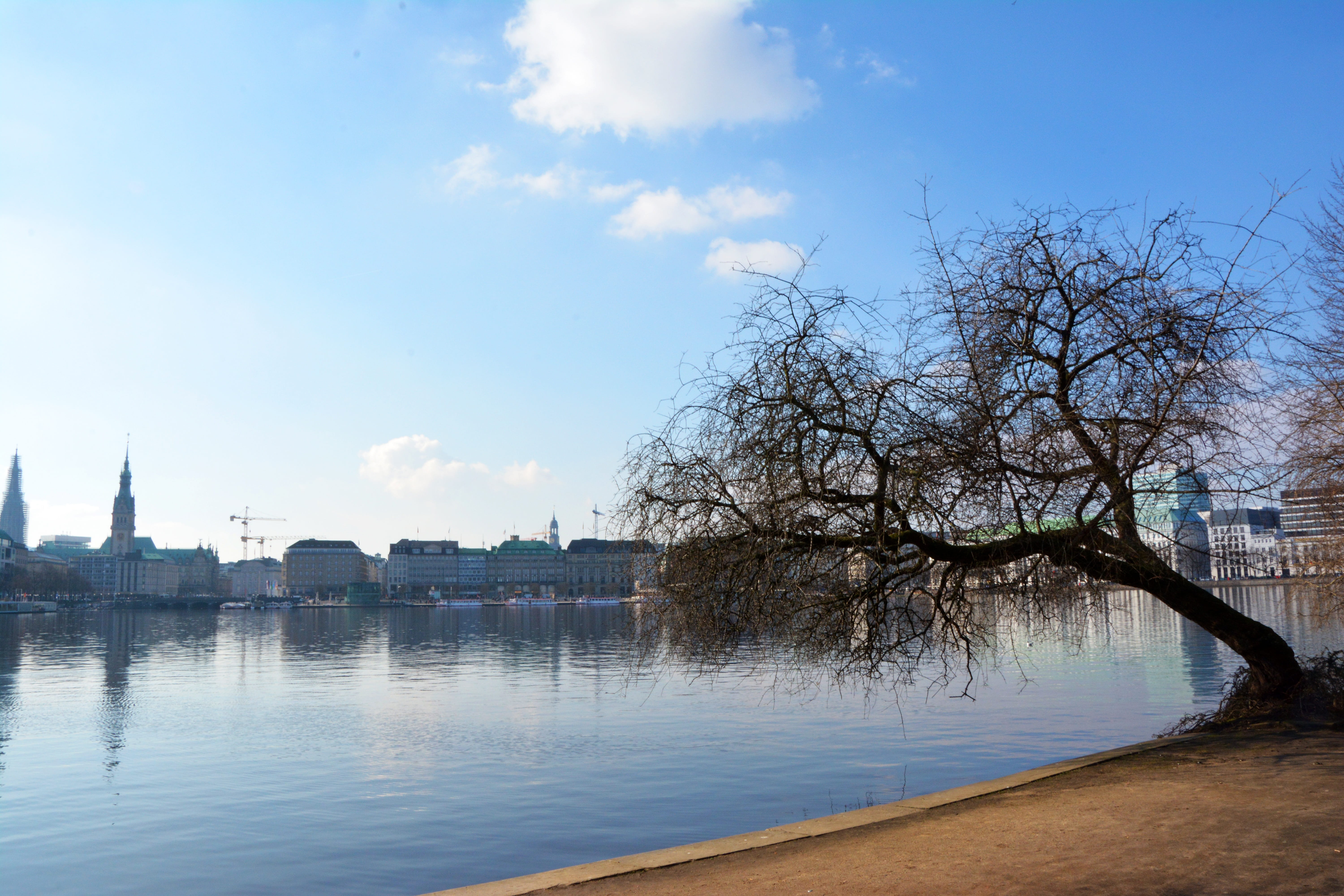 landscape, bare tree, hanseatic city, tranquility, waterfront, alster, river, hamburg, tree, 5K, rest, plant, lake, building, waters, nature, cloud - sky, HD Wallpaper
