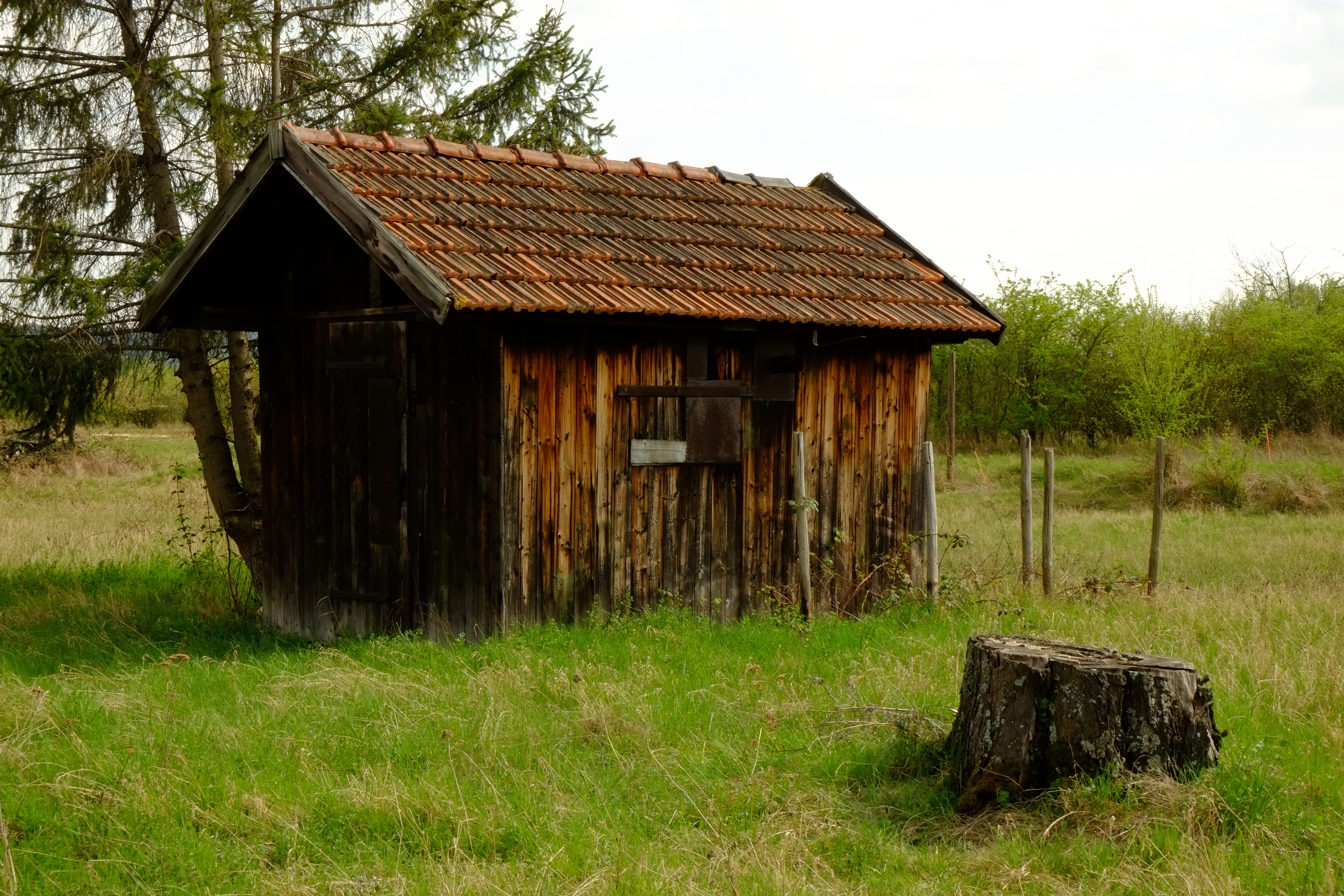 building exterior, building, built structure, grass, rural, 4K, home, sky, plant, roof, architecture, rustic, scale, outdoors, tree, Wood, worth a visit, HD Wallpaper