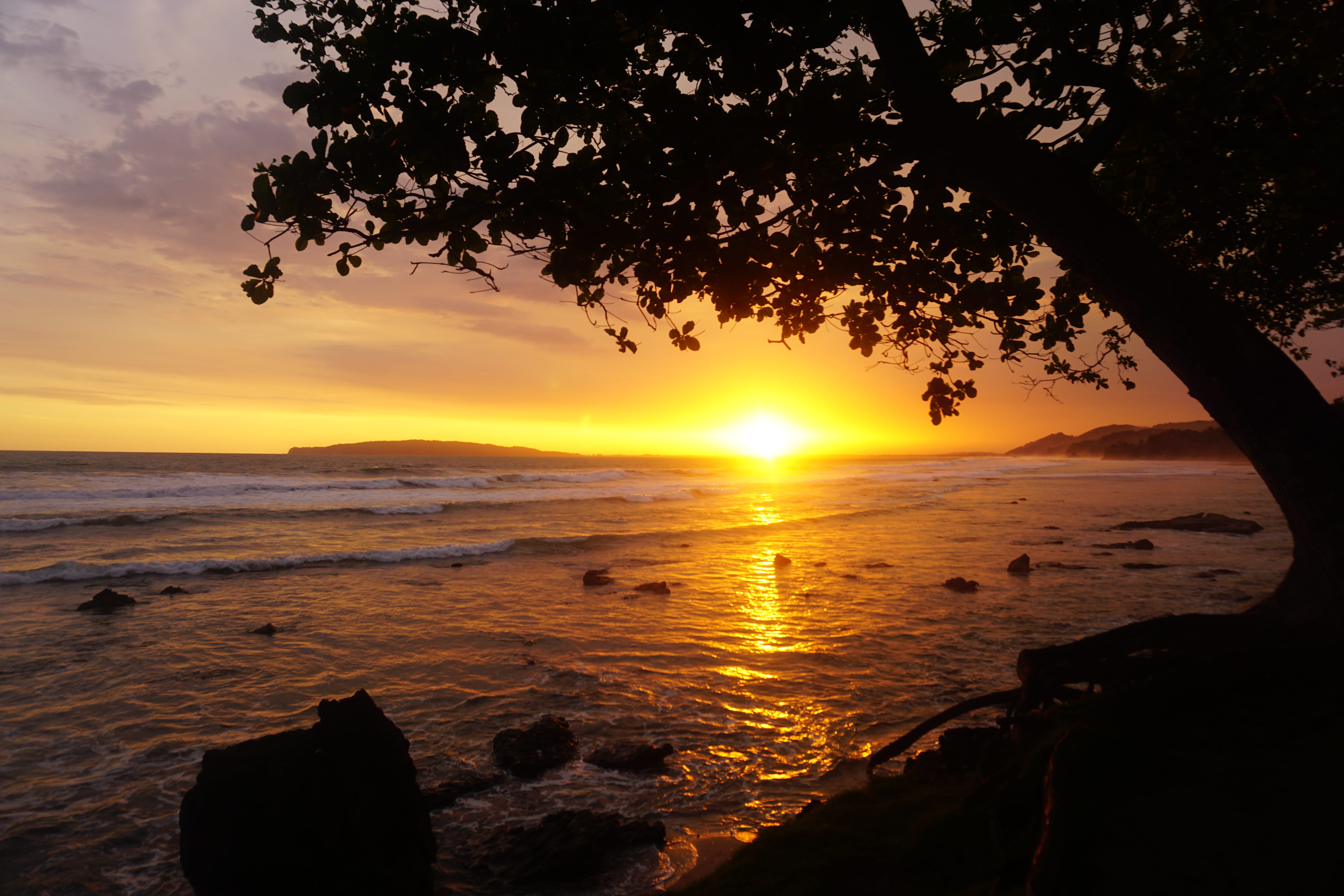 pangandaran, silhouette, orange color, outdoors, beach, west java, plant, 5K, landscape, land, nature, sea, tranquil scene, tranquility, tree, indonesia, HD Wallpaper